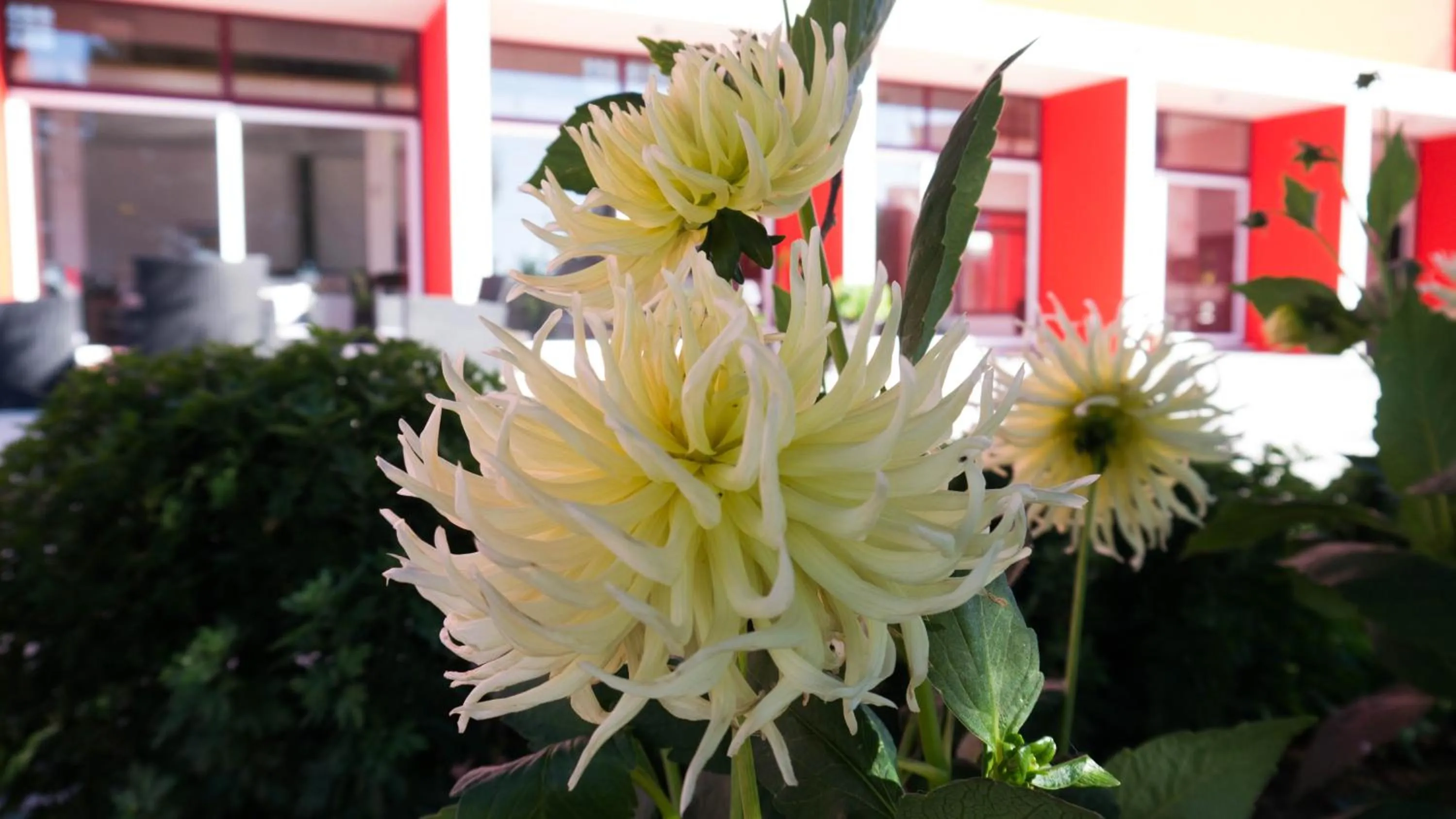 Property building in Casa d´Edite