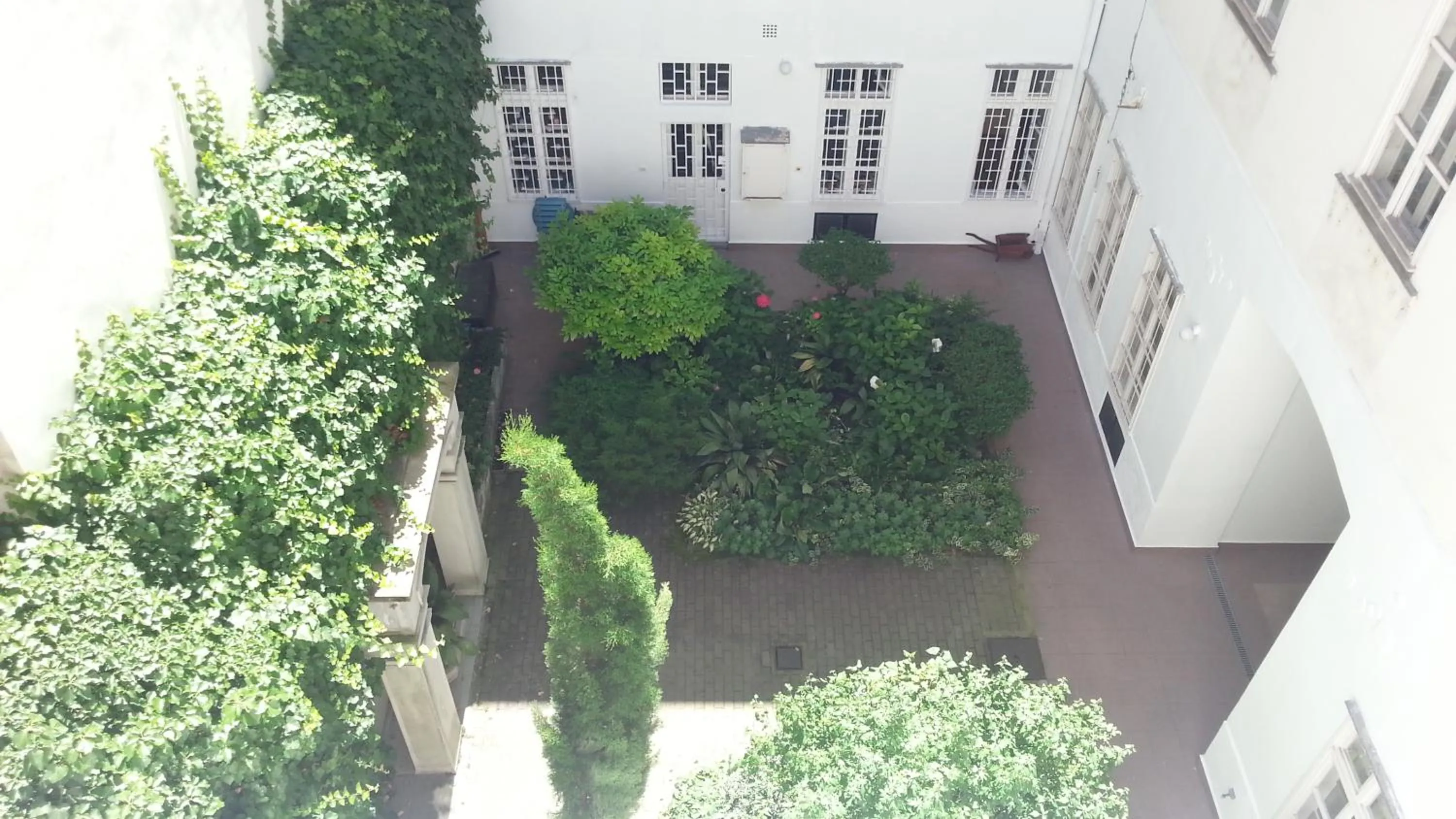 Garden view in BMG Apartment Basilica