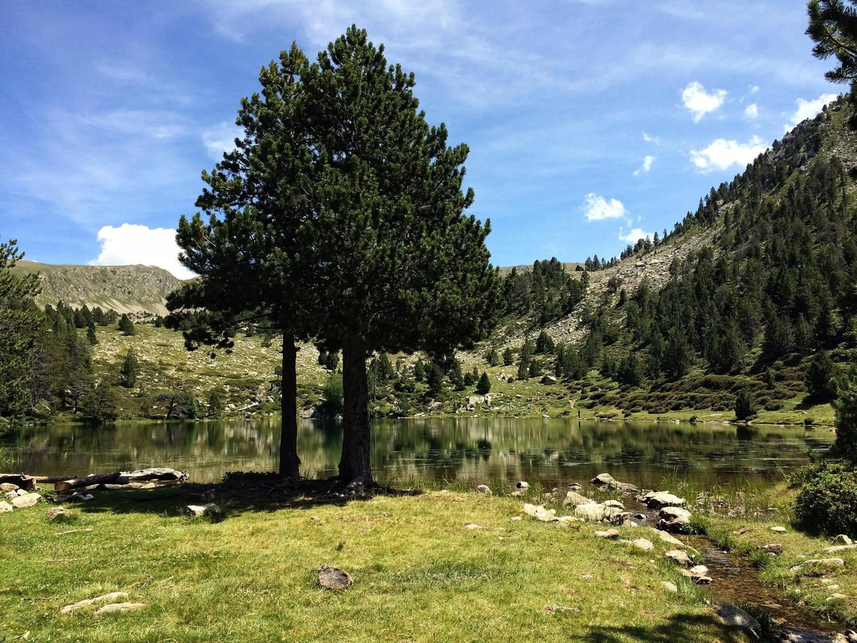 Skiing in Hotel Casado