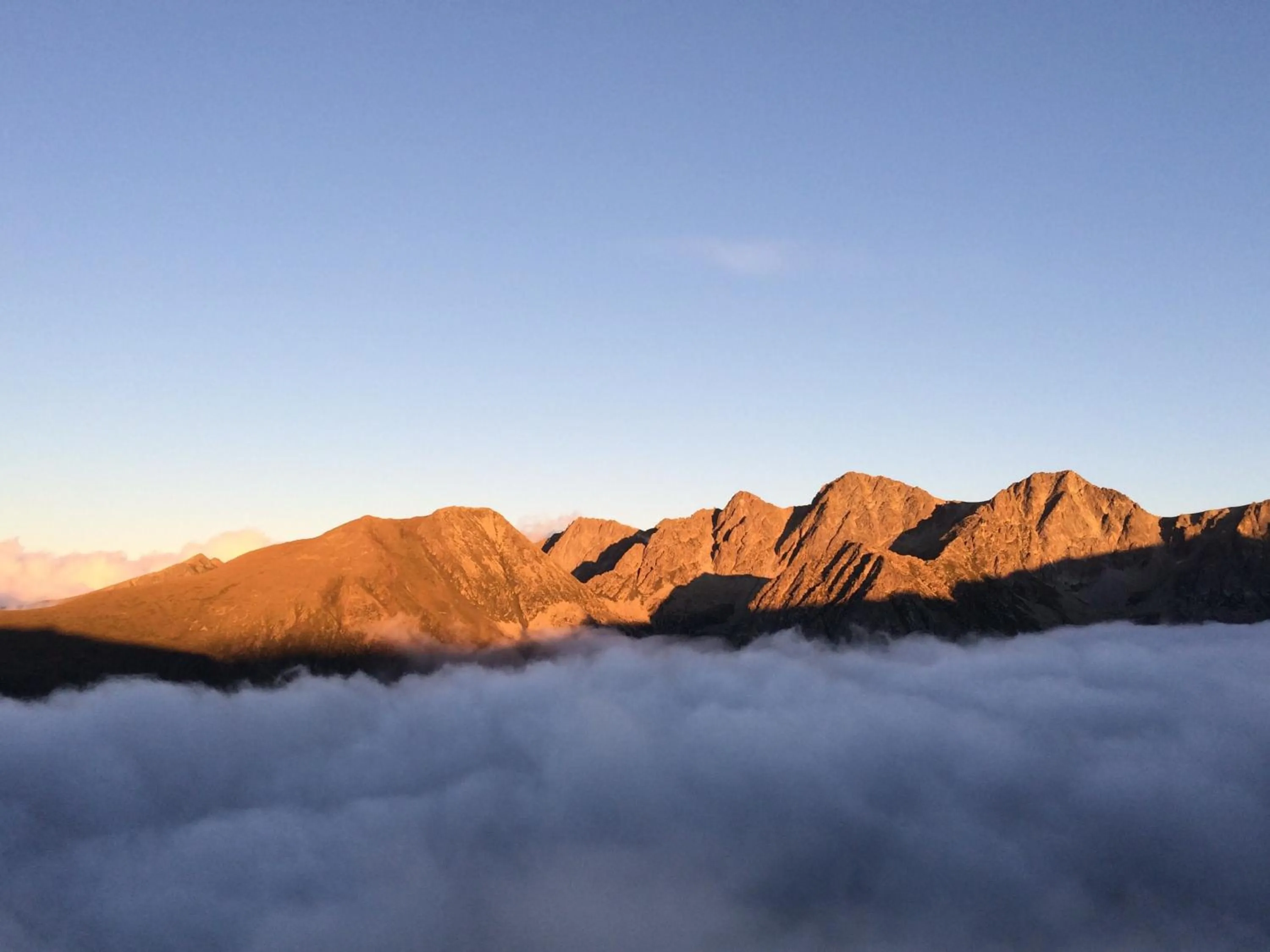 Area and facilities in Hotel Casado