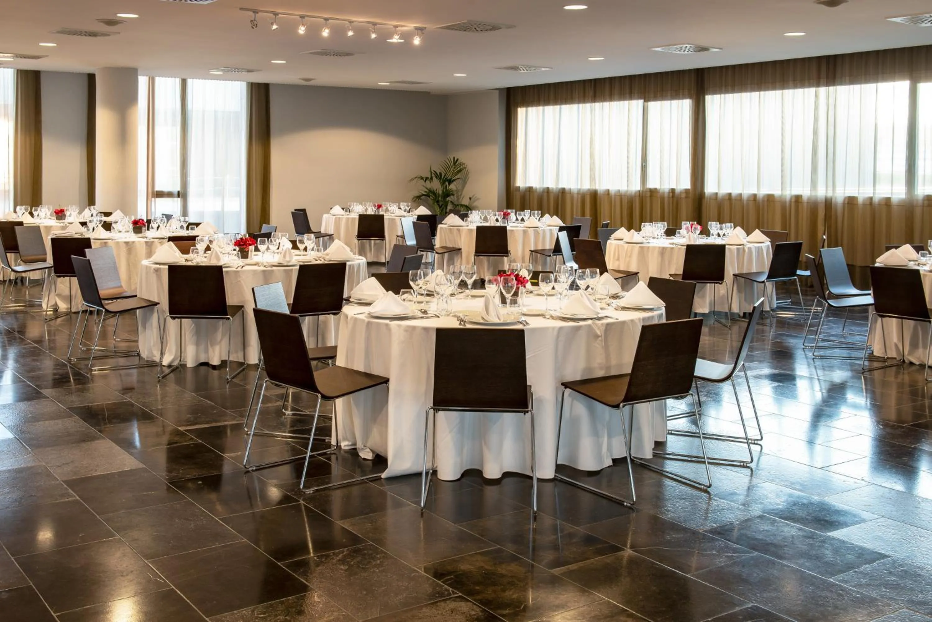 Banquet/Function facilities in Hotel Diagonal Plaza