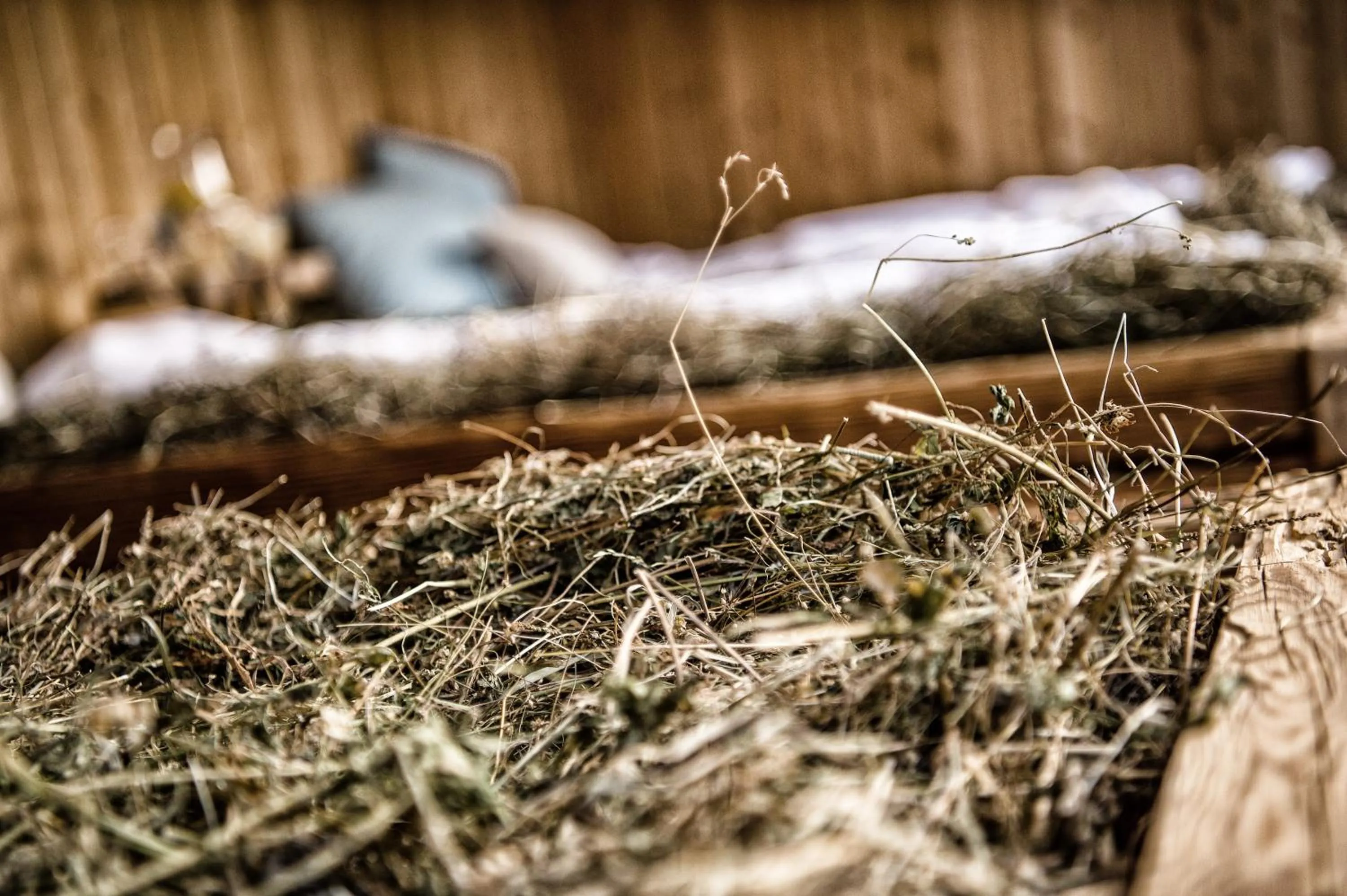 Decorative detail in Aurina Lodges