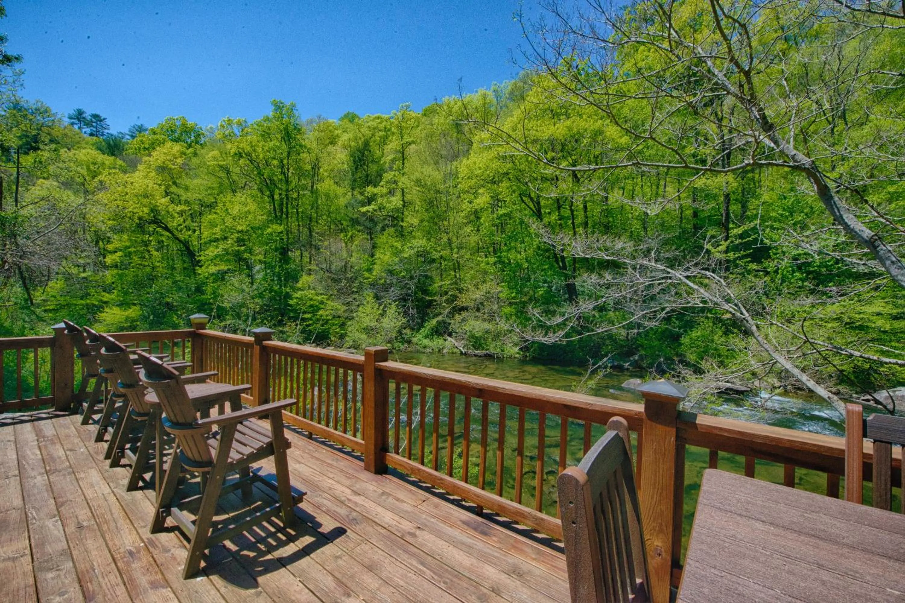 Spring in Historic Tapoco Lodge Resort