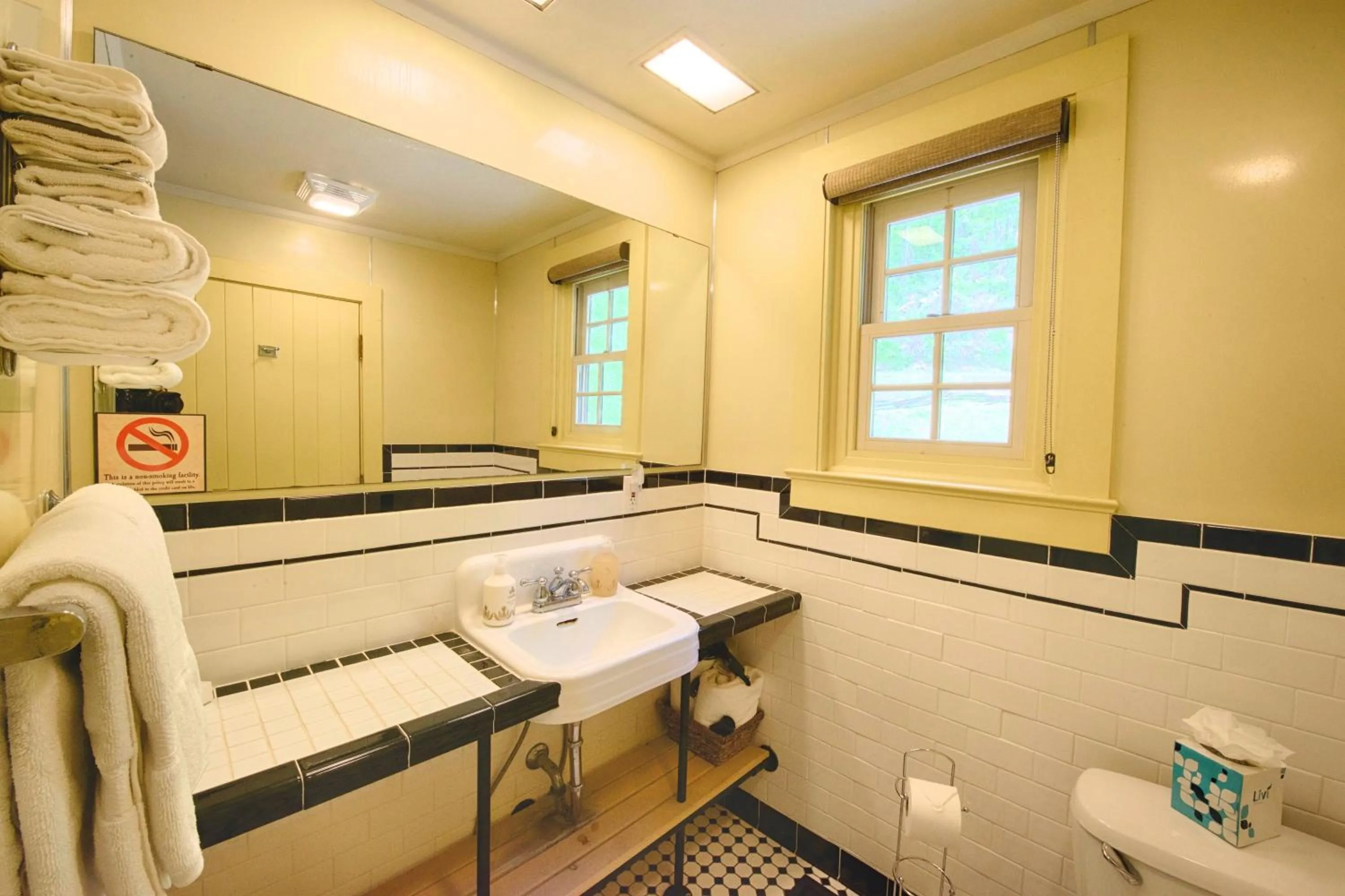Shower in Historic Tapoco Lodge Resort