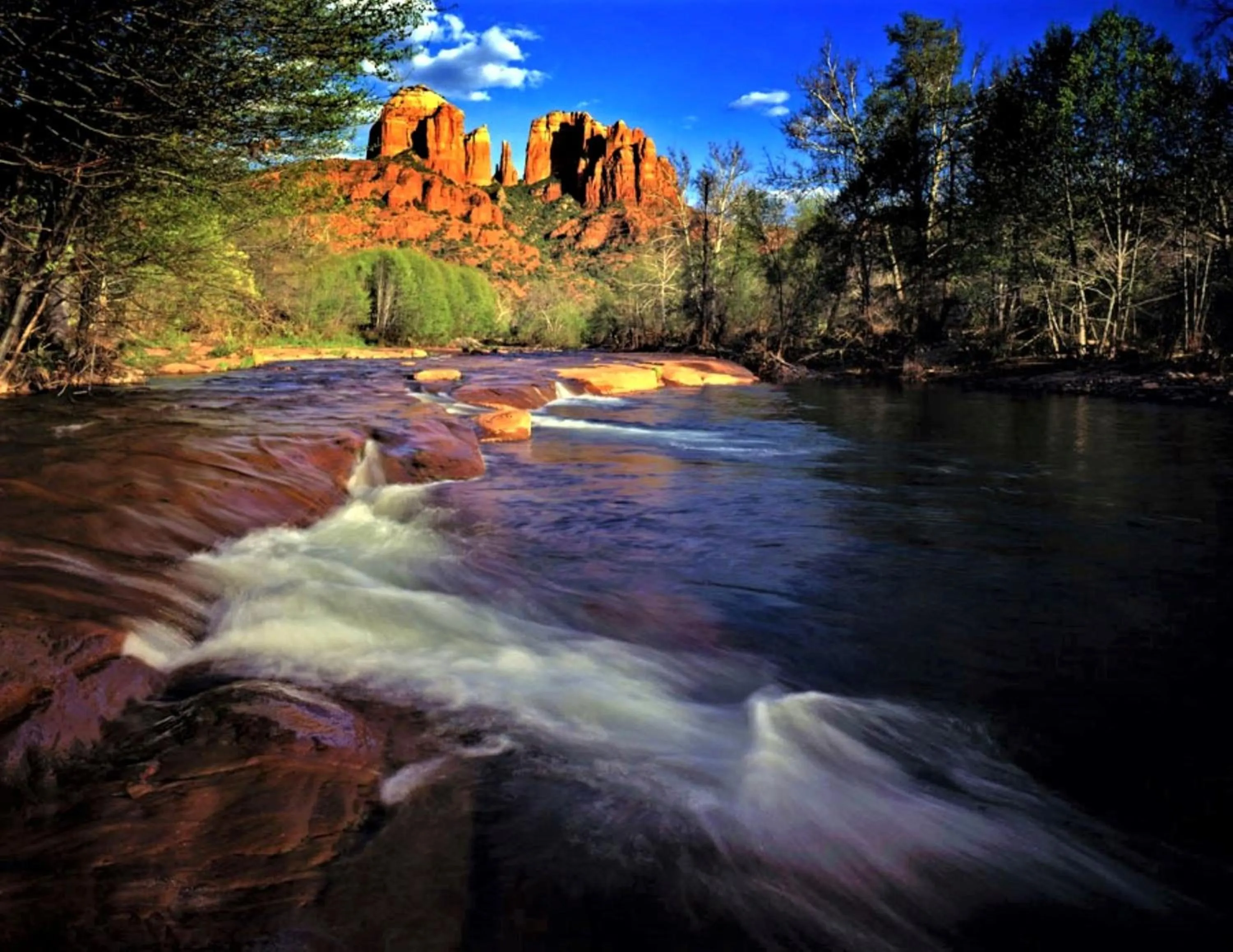 Natural landscape in Highlands Resort at Verde Ridge