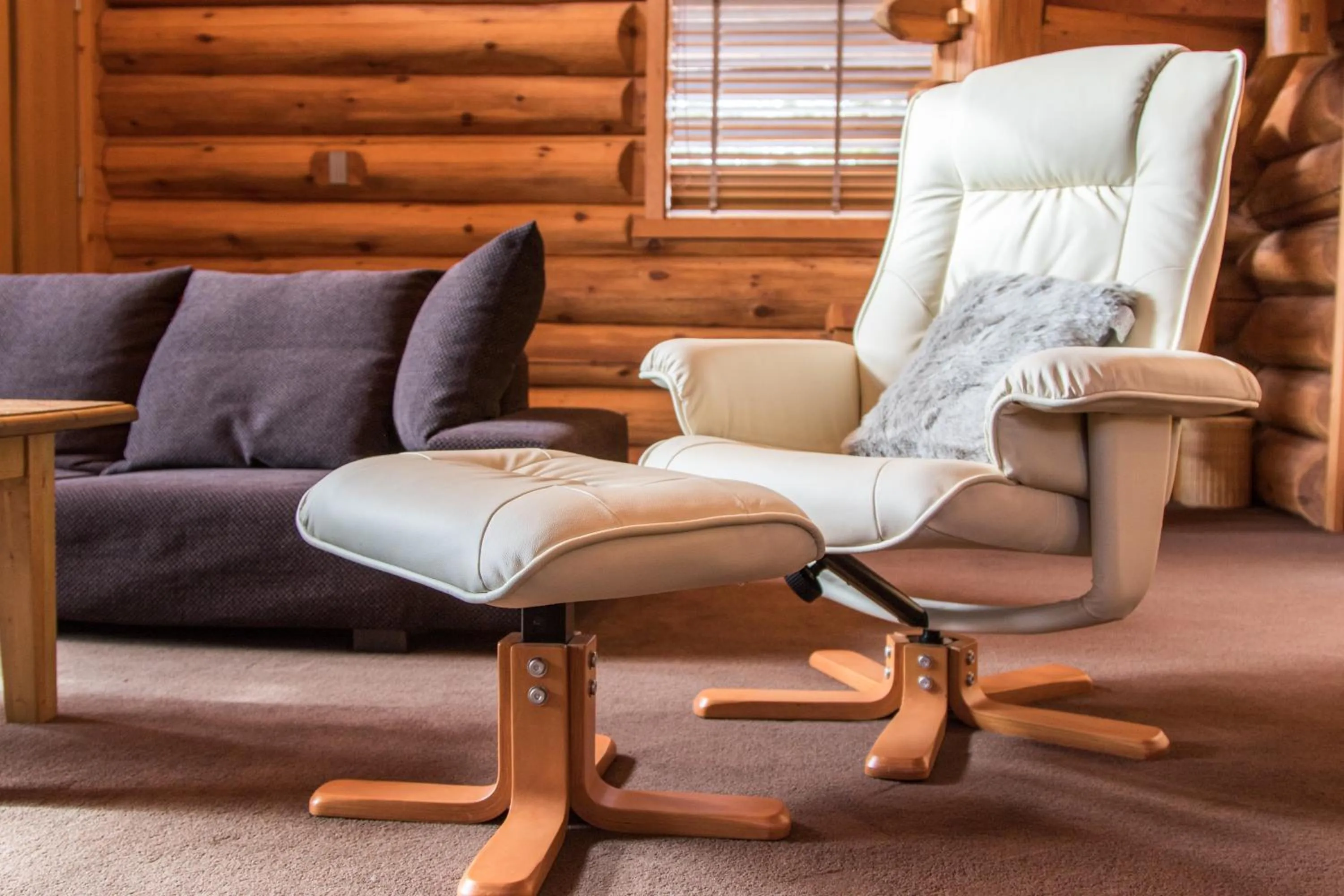 Living room in Villa Rusutsu