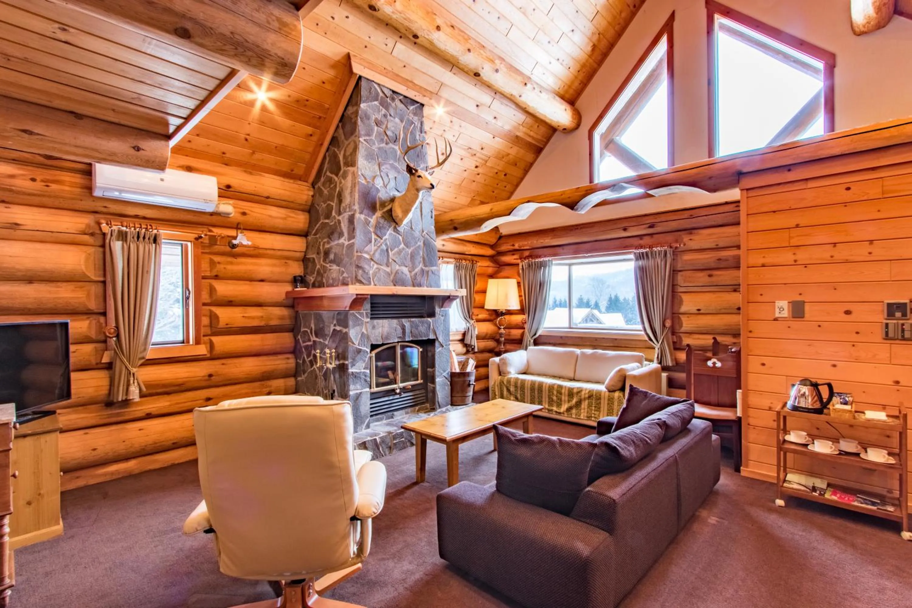 Communal lounge/ TV room in Villa Rusutsu