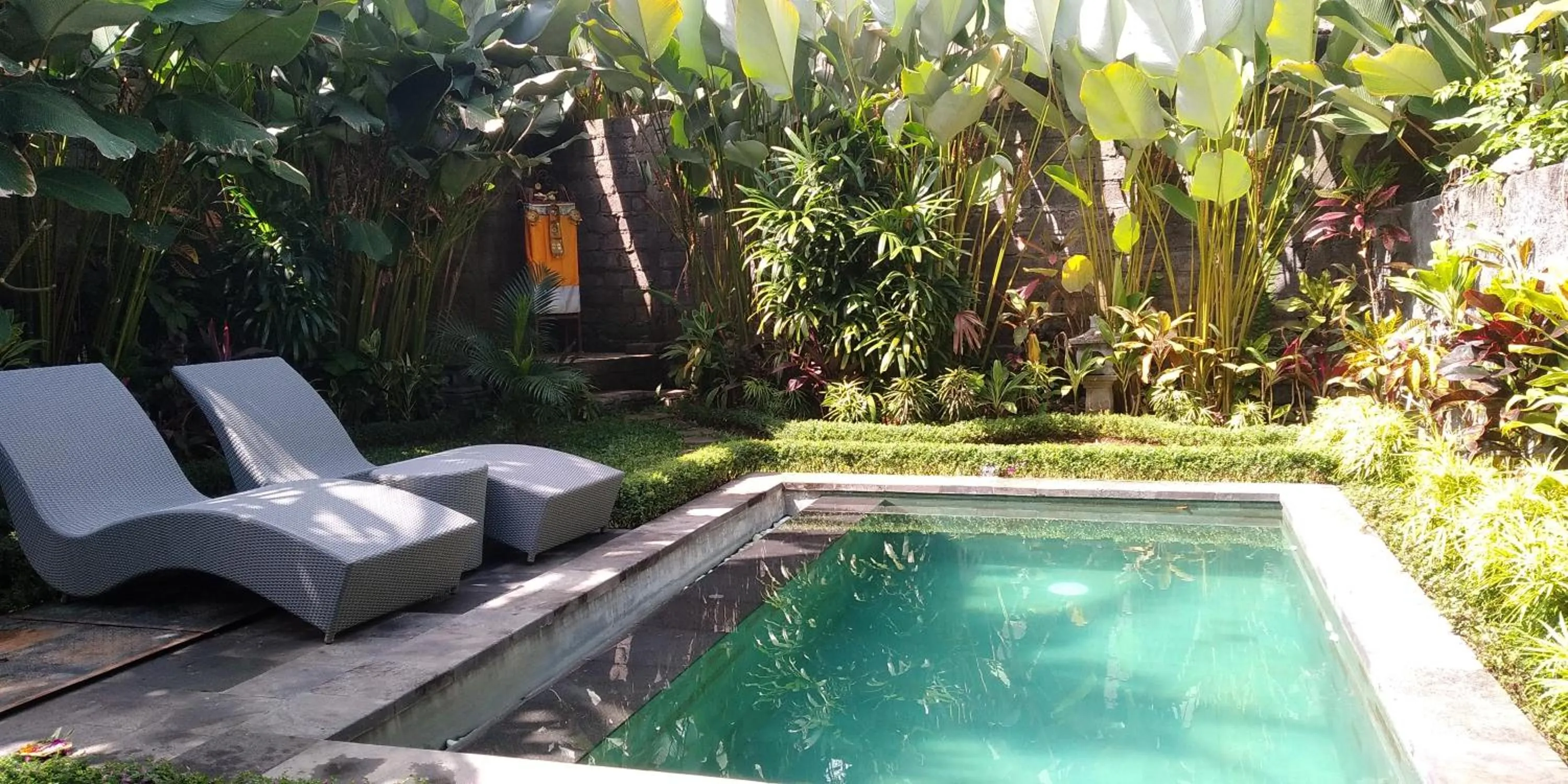 Pool view in Dedik House