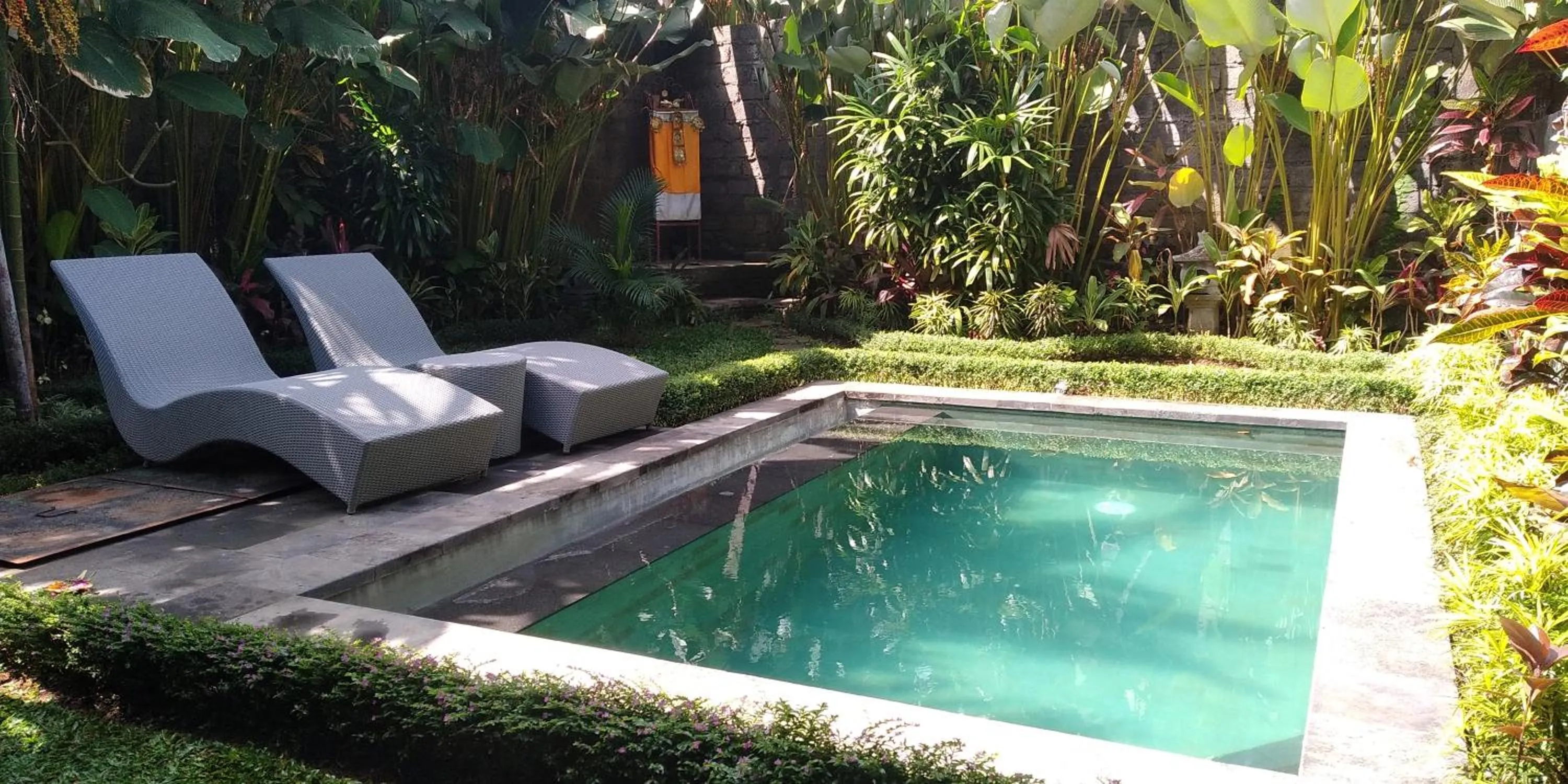 Pool view in Dedik House