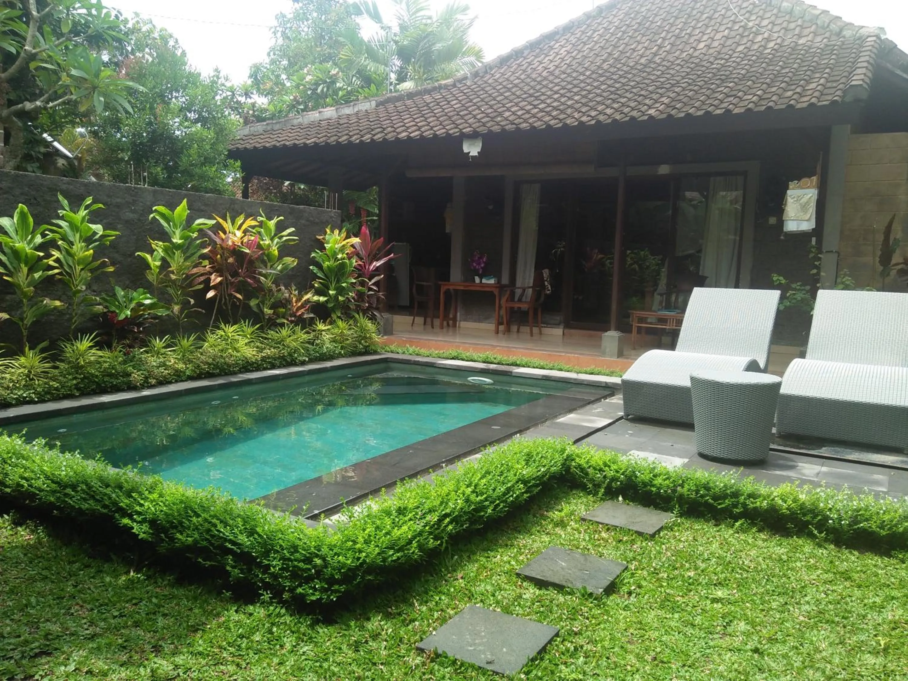 Swimming pool in Dedik House