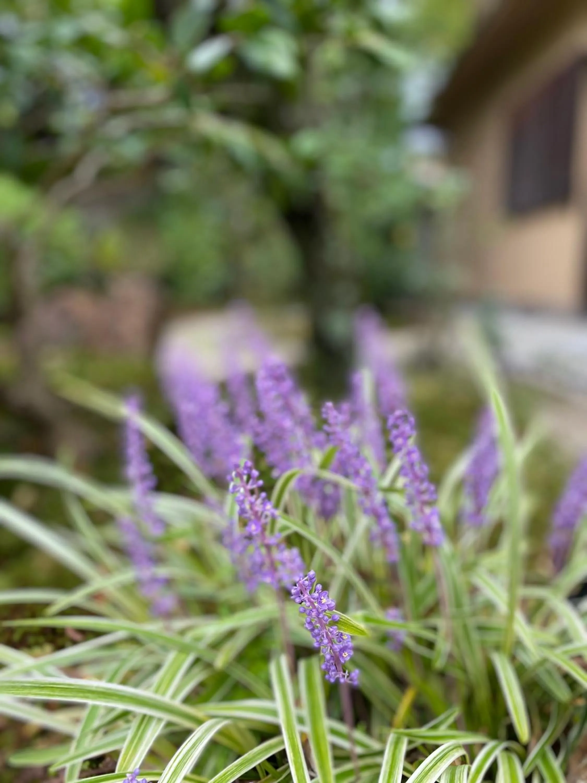 Property building in Ryokan Genhouin