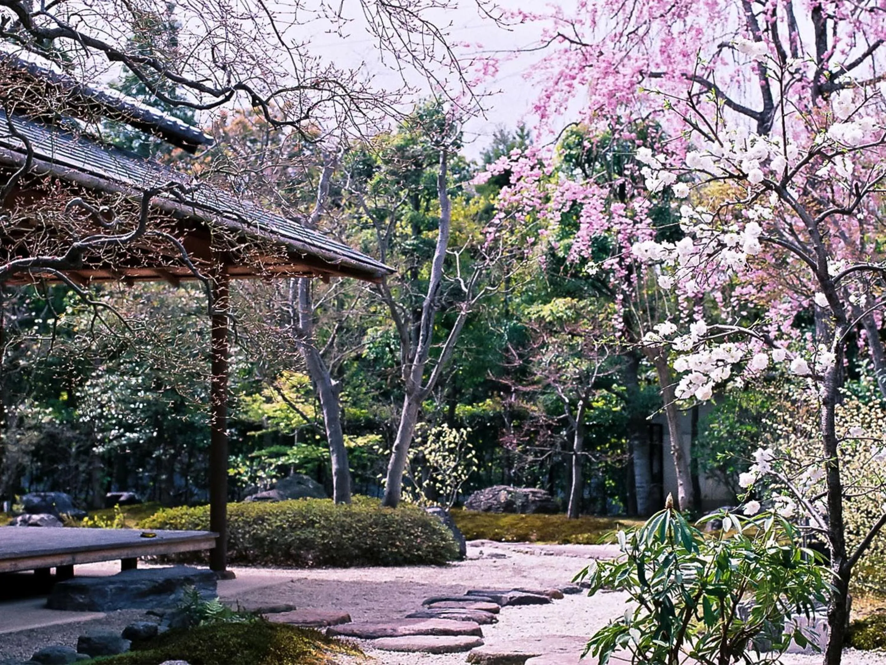 Garden view in Ryokan Genhouin