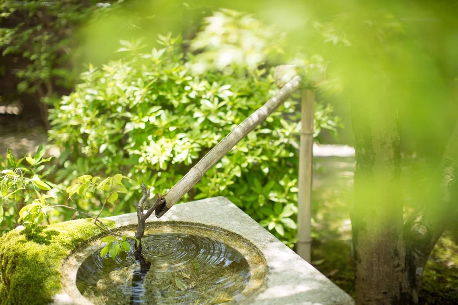 Spring in Ryokan Genhouin