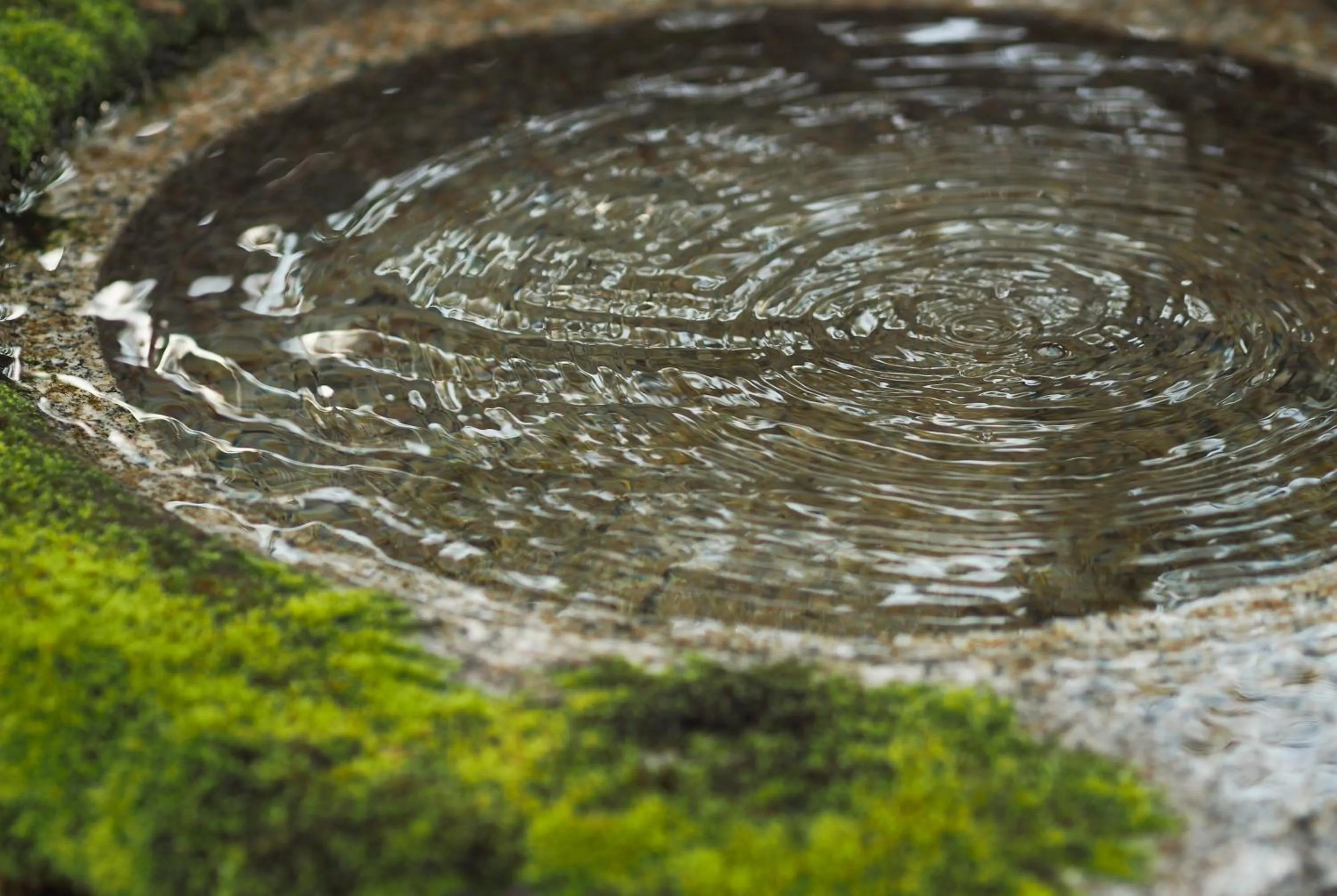 Garden in Ryokan Genhouin