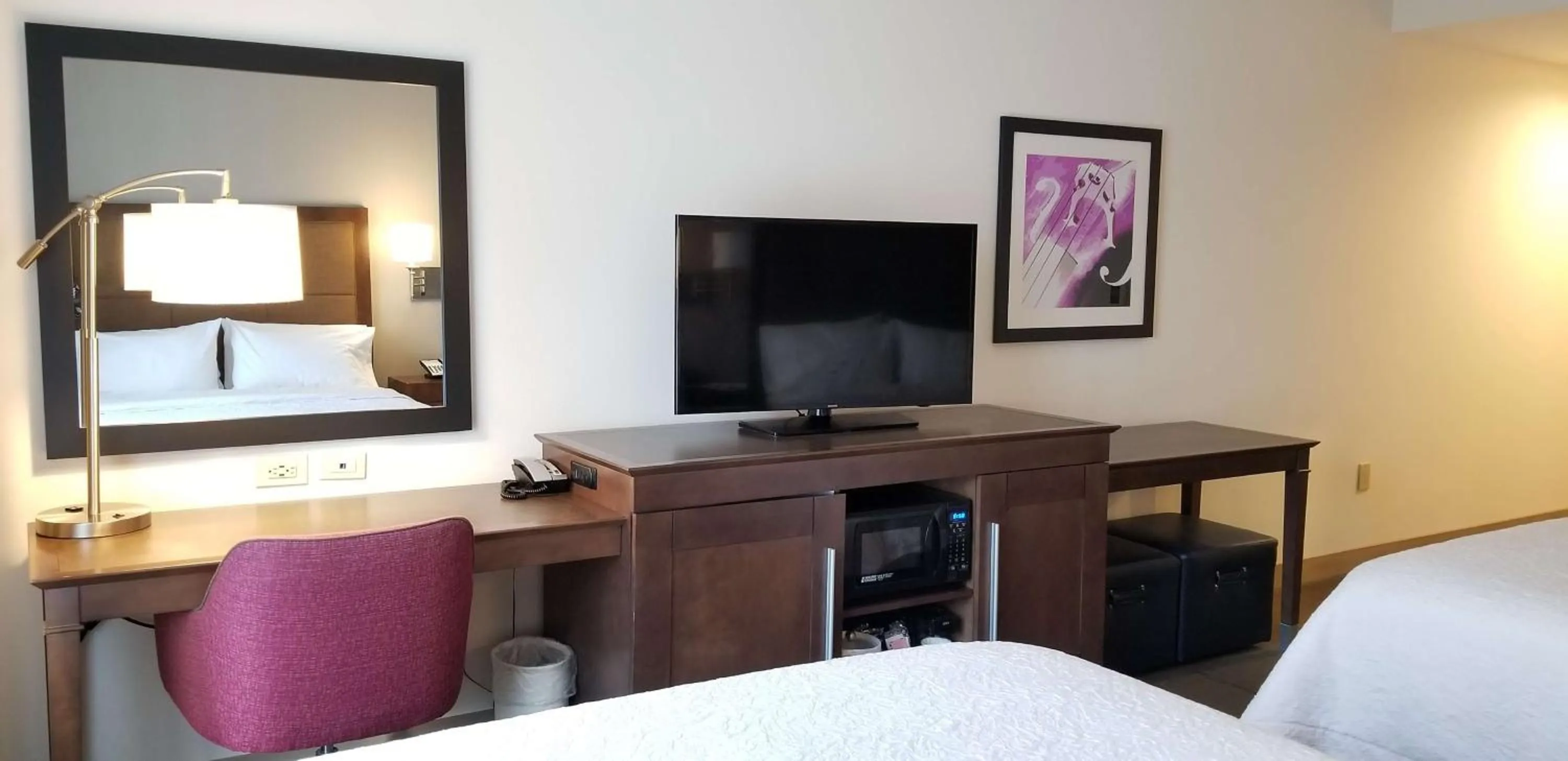 TV and multimedia, Bed in Hampton Inn by Hilton New Paltz, NY
