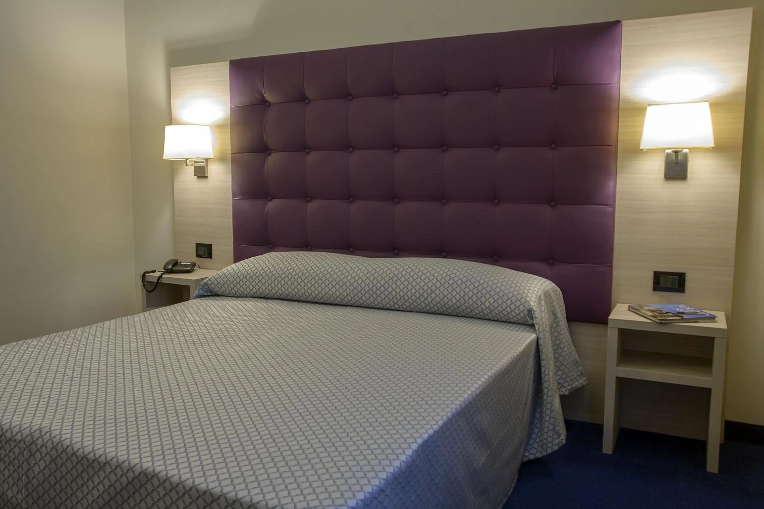 Photo of the whole room, Bed in Hotel Torino Porta Susa