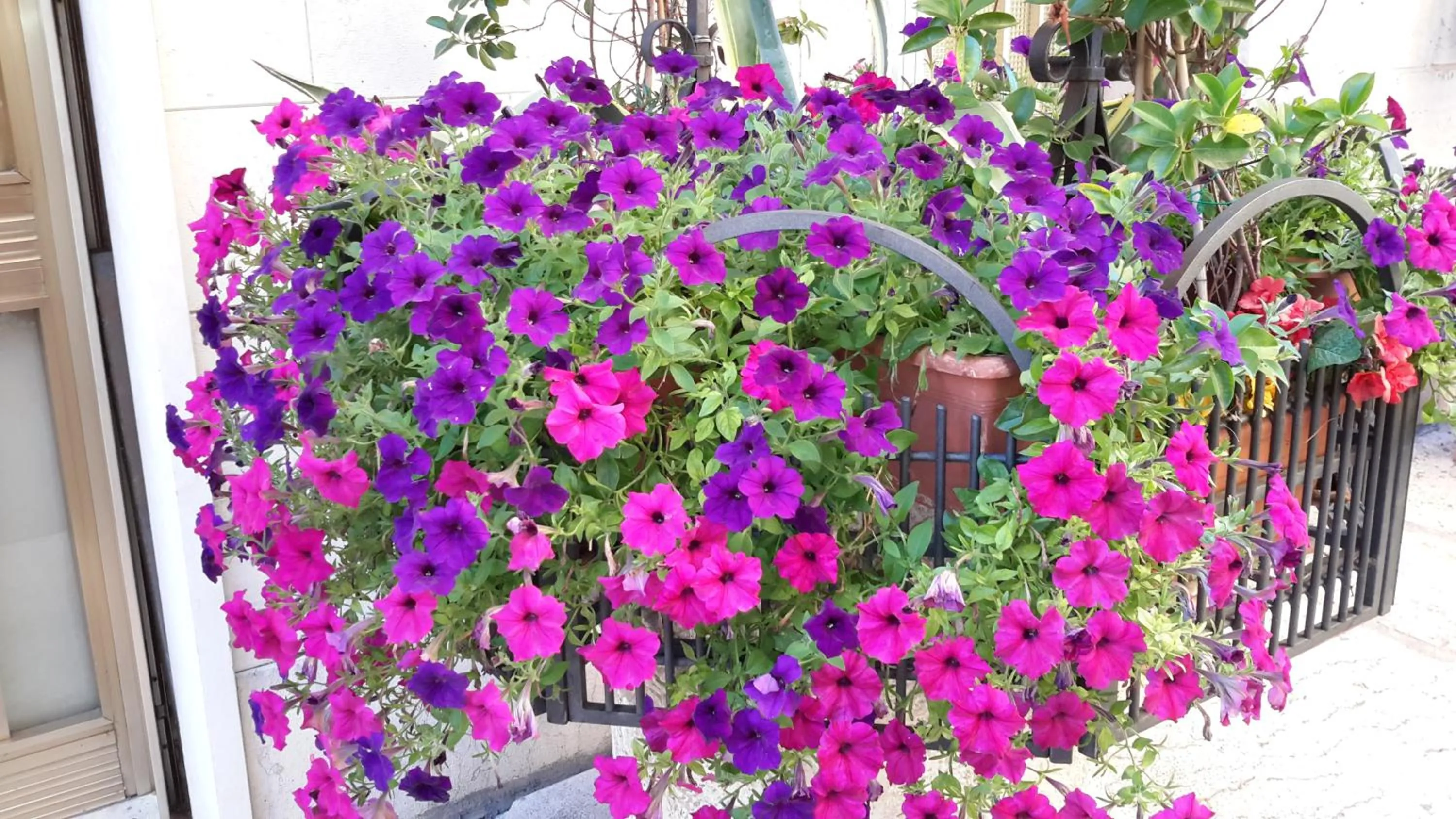 Floor plan in Albergo Trento