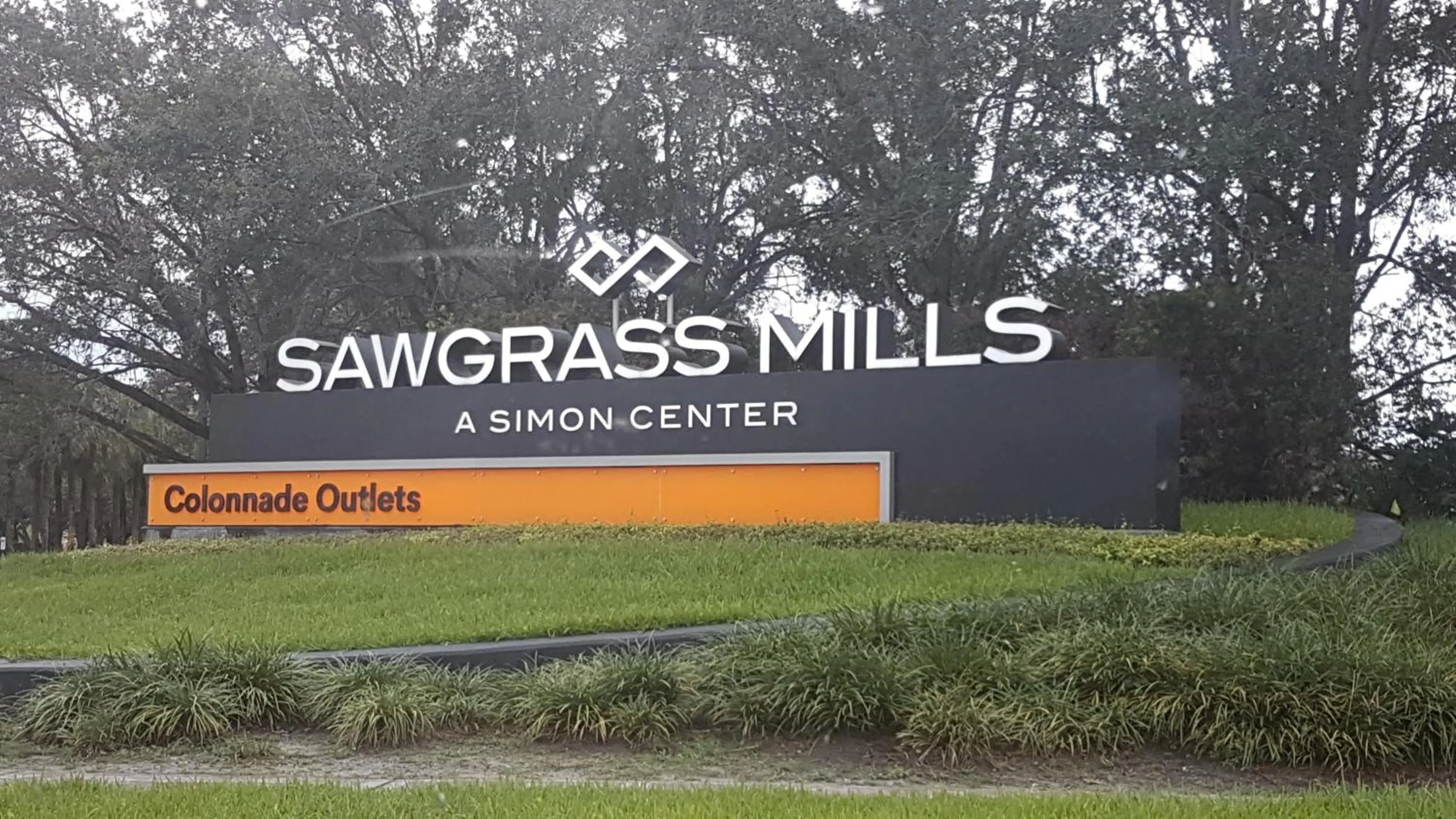 Sawgrass