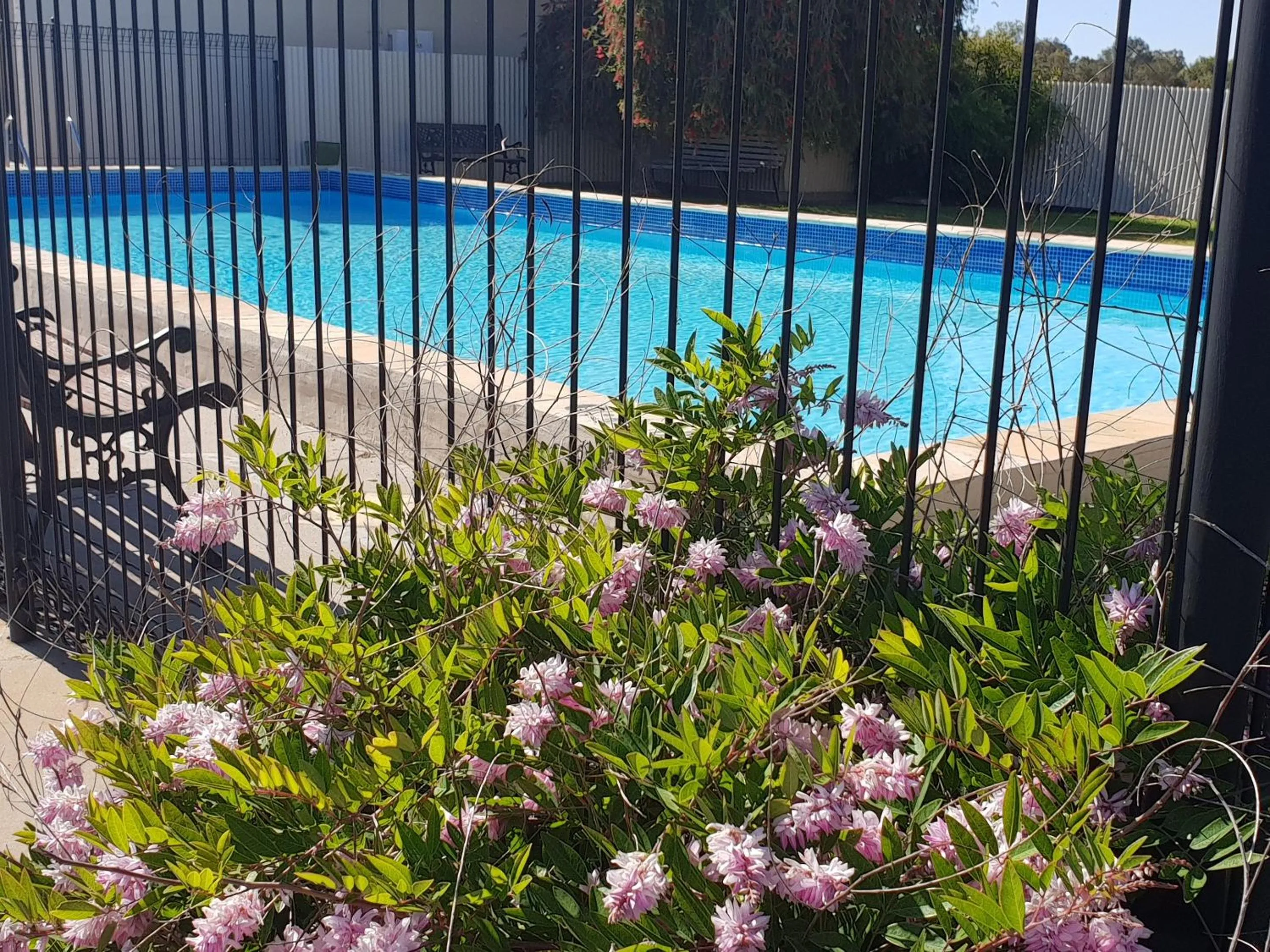 Swimming pool in Kerang Valley Resort