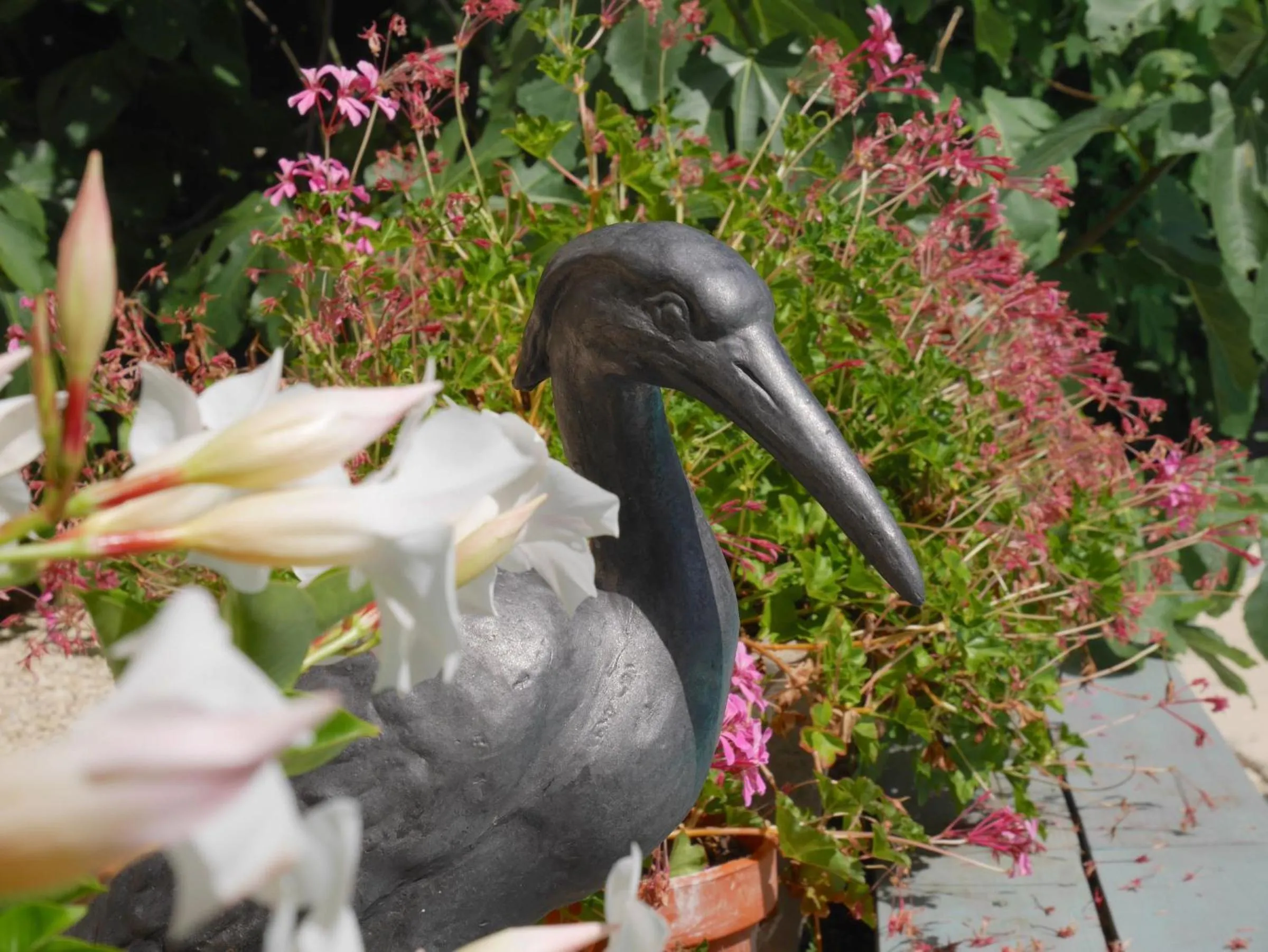 Swimming pool in L'Arbre D'Ange