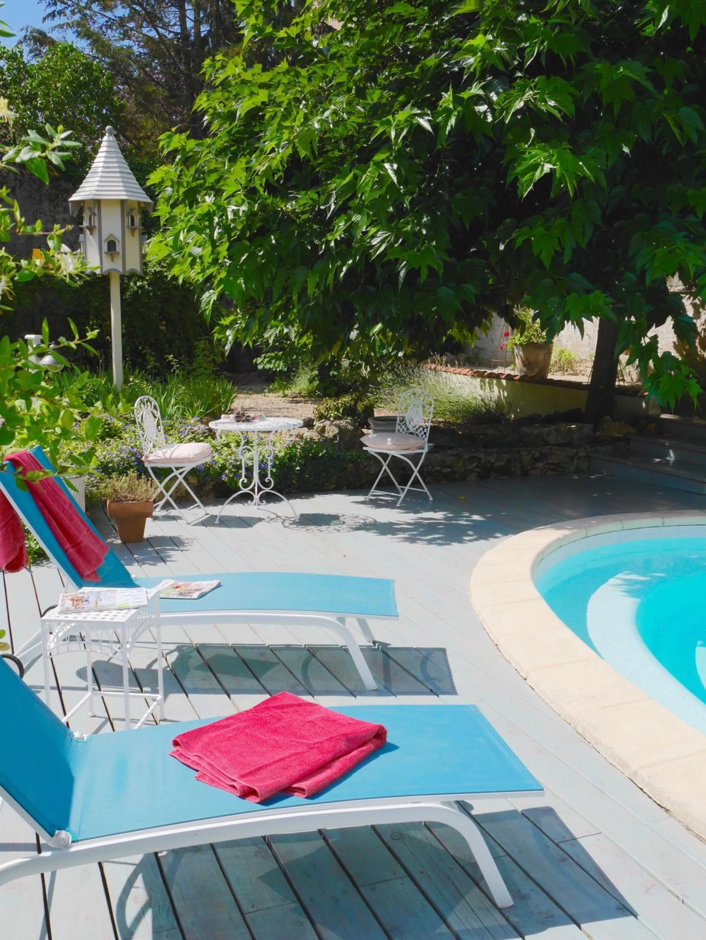 Swimming pool in L'Arbre D'Ange