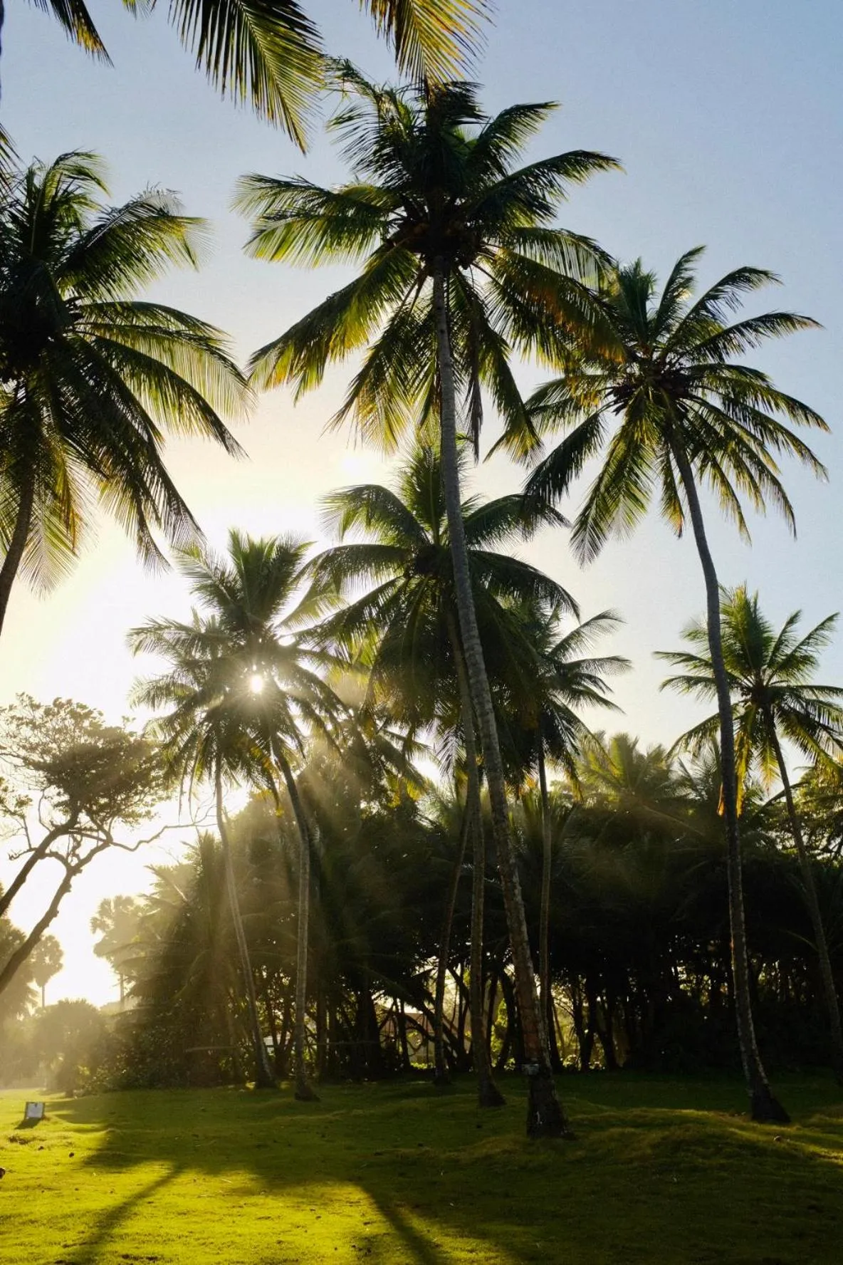 Natural landscape in El Encuentro Surf Lodge