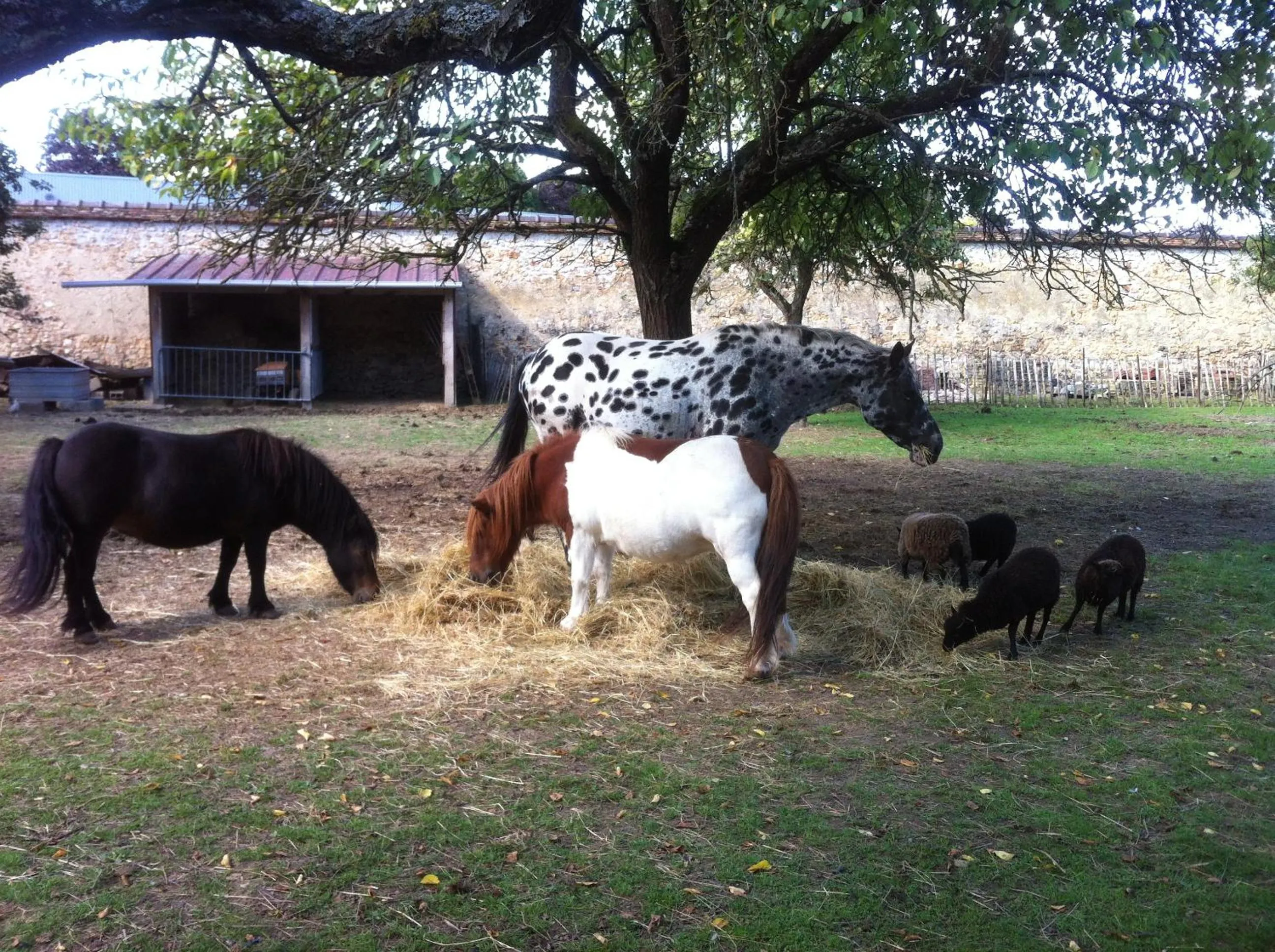 Le Clos des Cordeliers