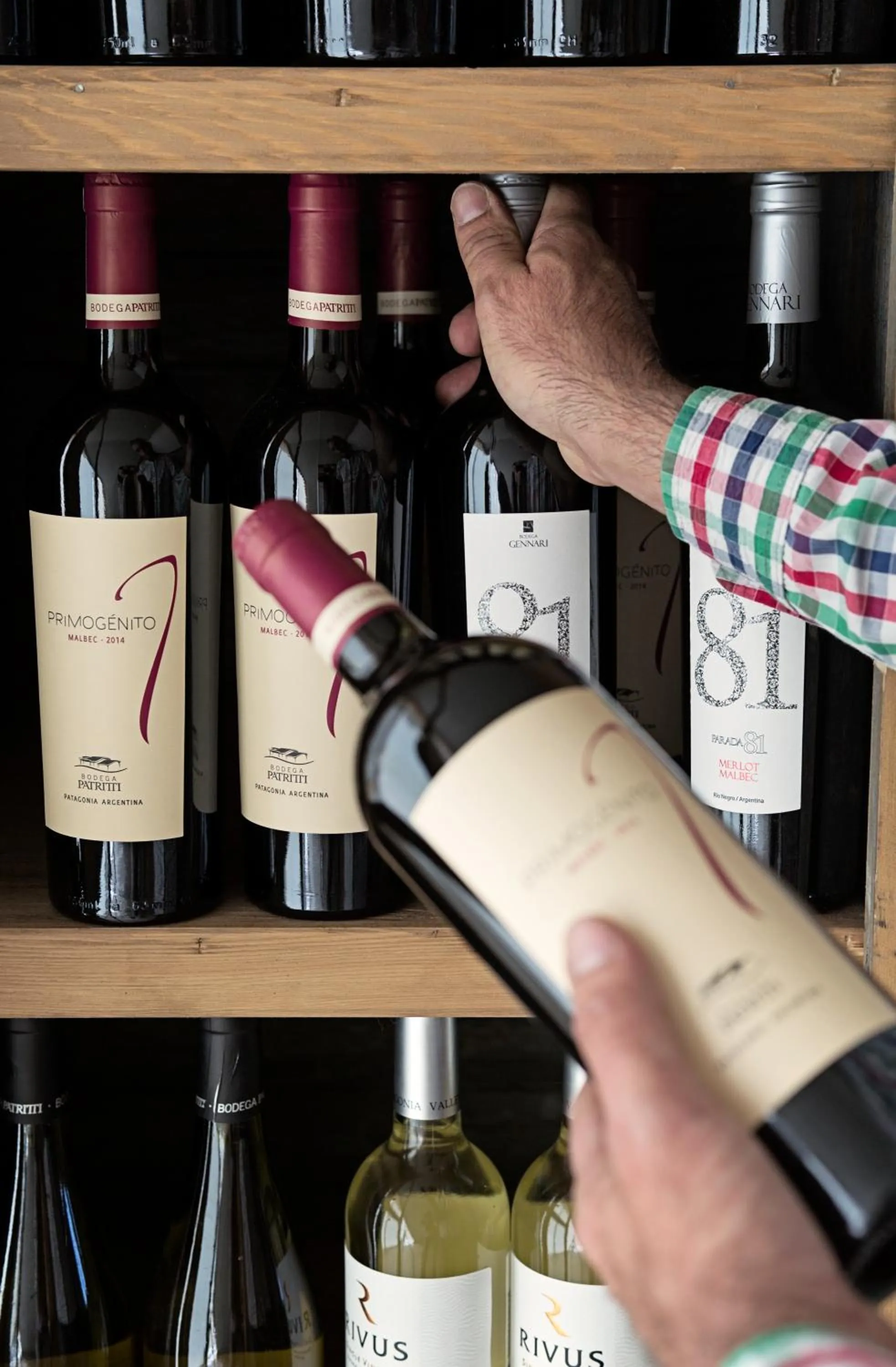 Other in Rayentray Océano