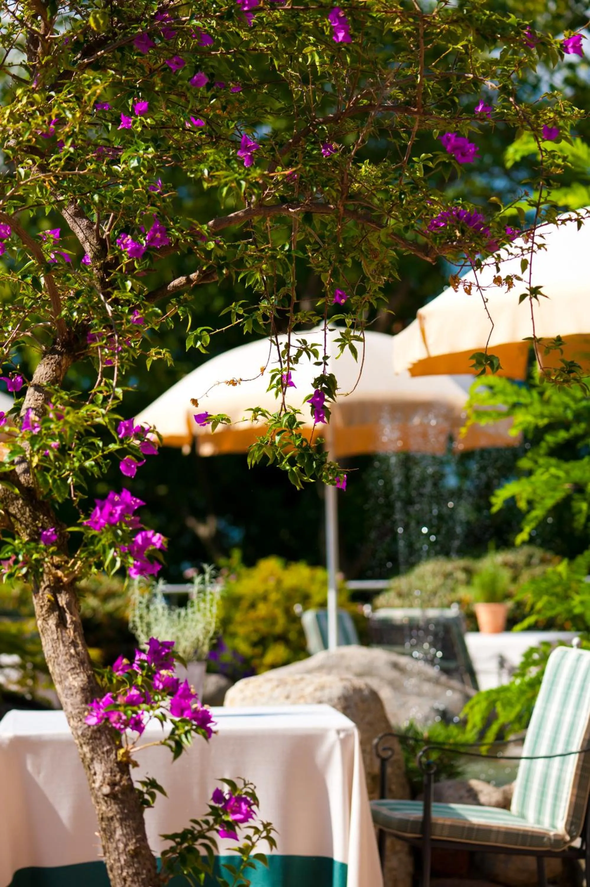 Balcony/Terrace in Hotel Sonnbichl