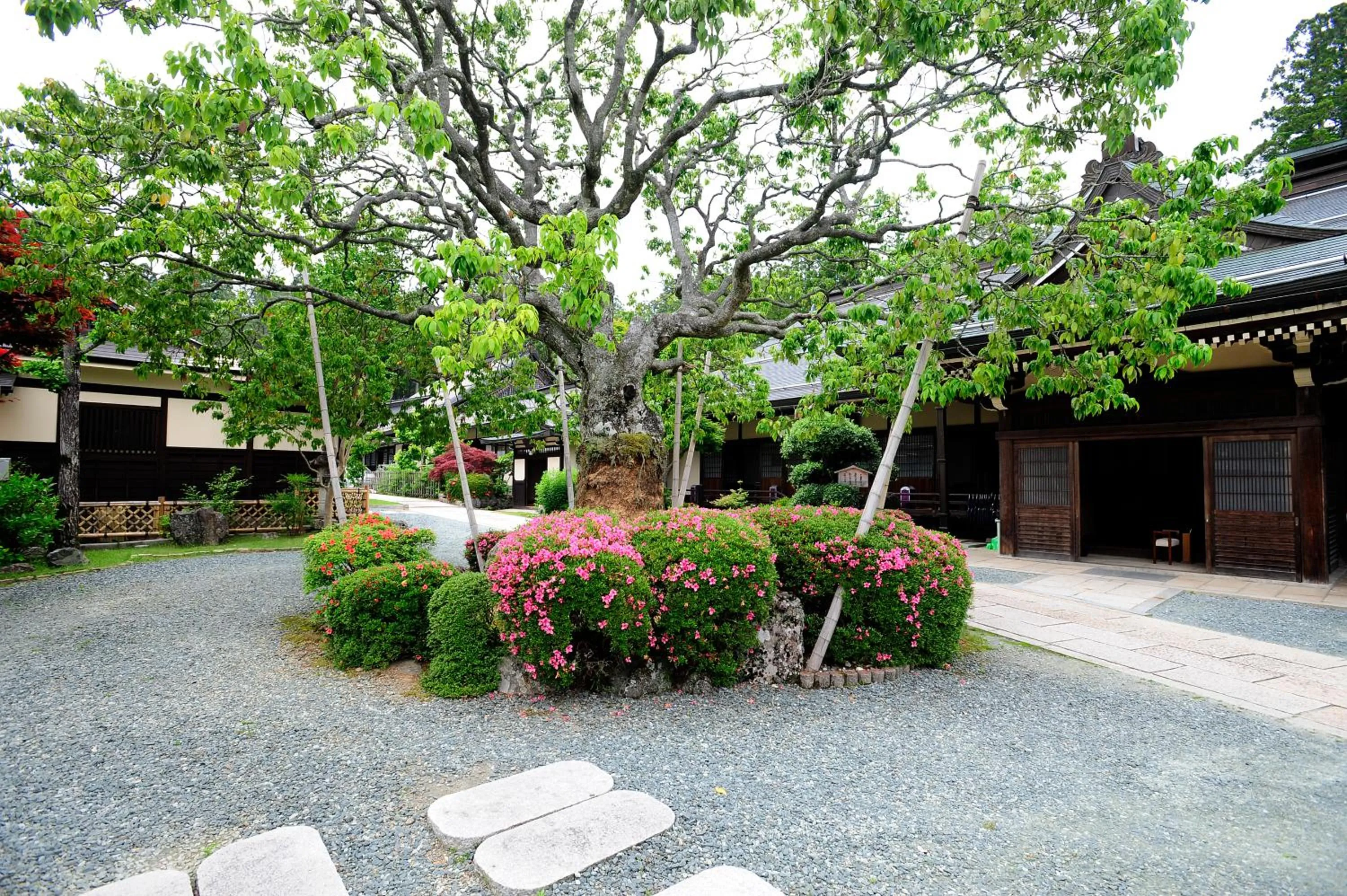 Property building in Koyasan Shukubo Jokiin