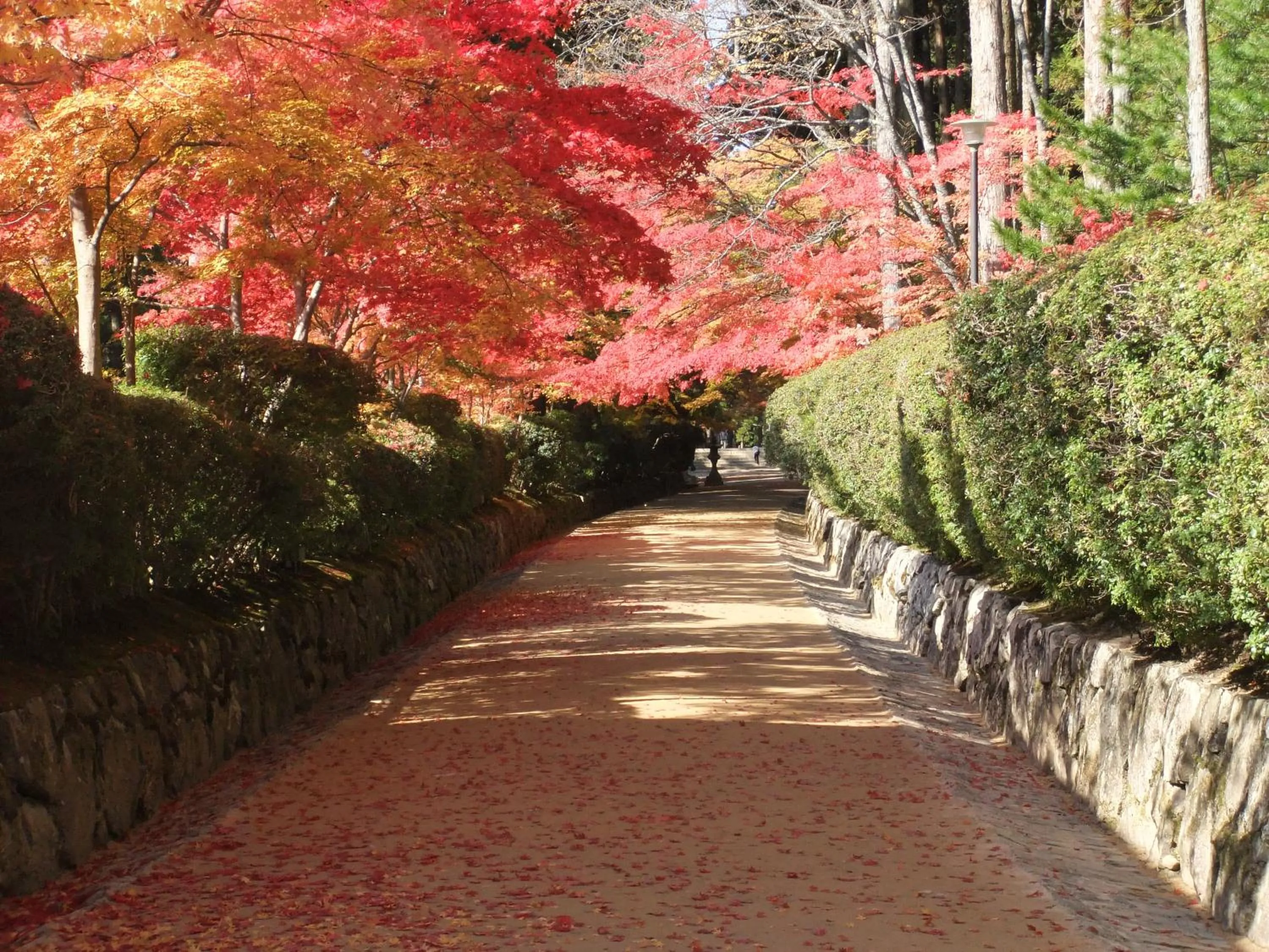 On site in Koyasan Shukubo Jokiin