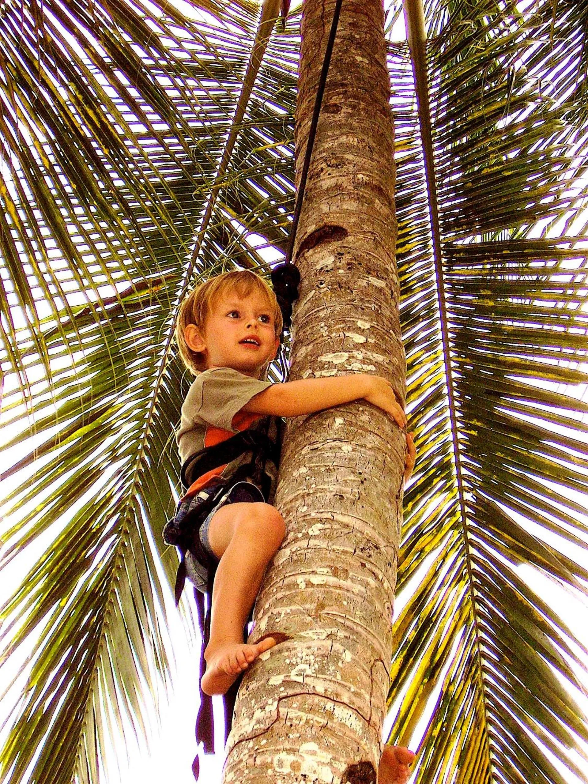 LooLa Adventure Resort