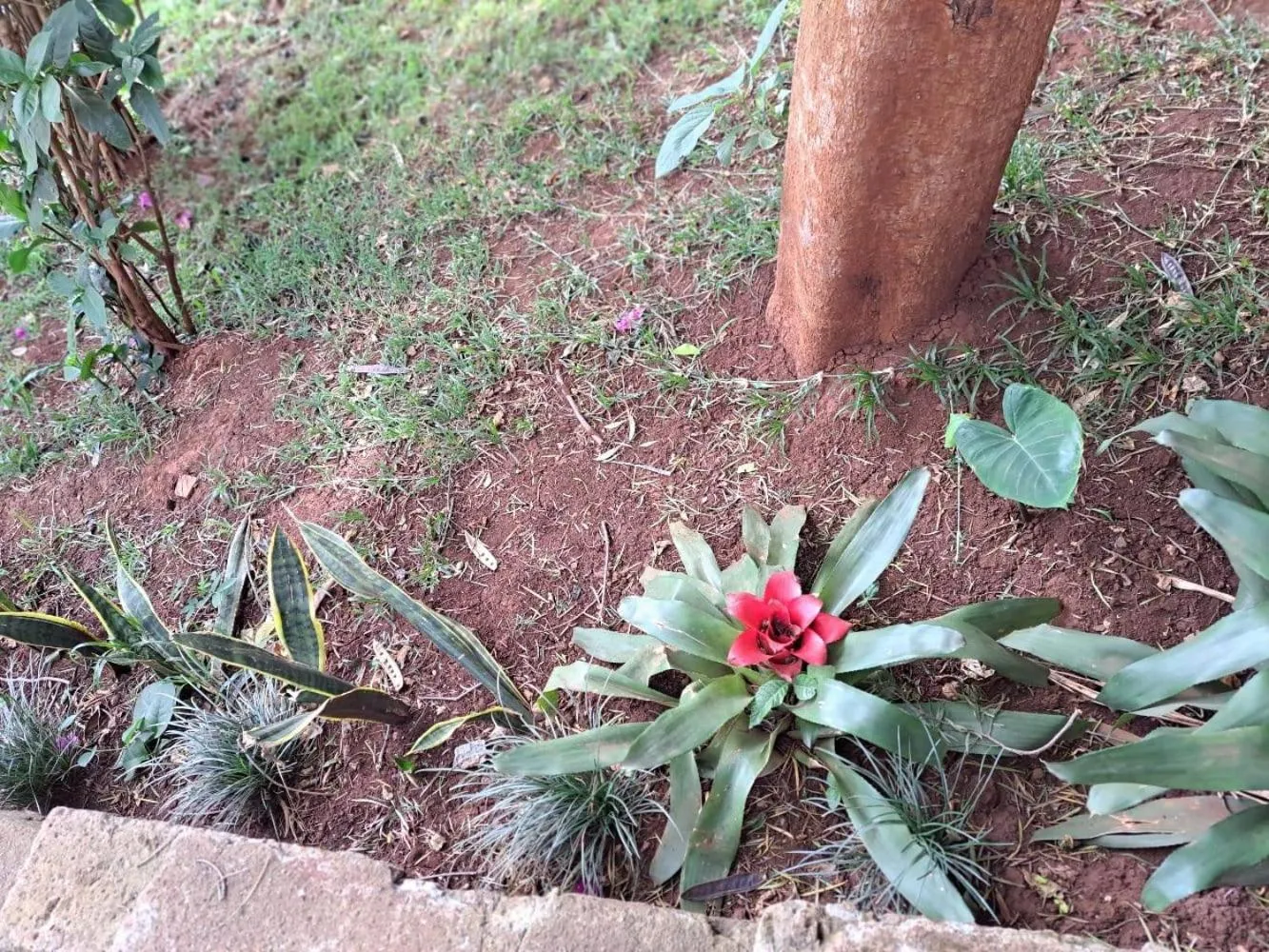 Day in Rosslyn Studios