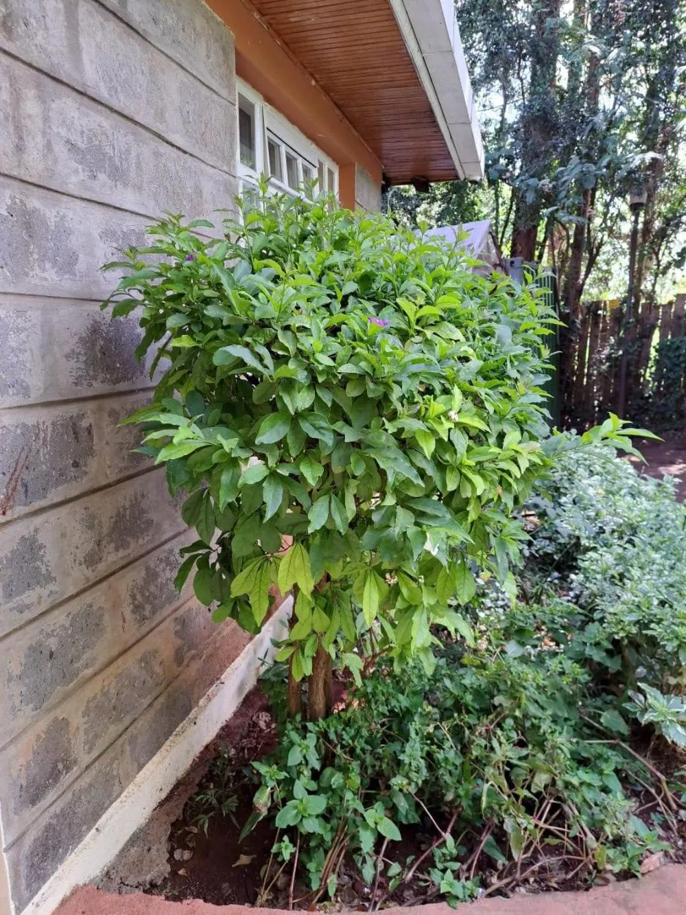 Day in Rosslyn Studios