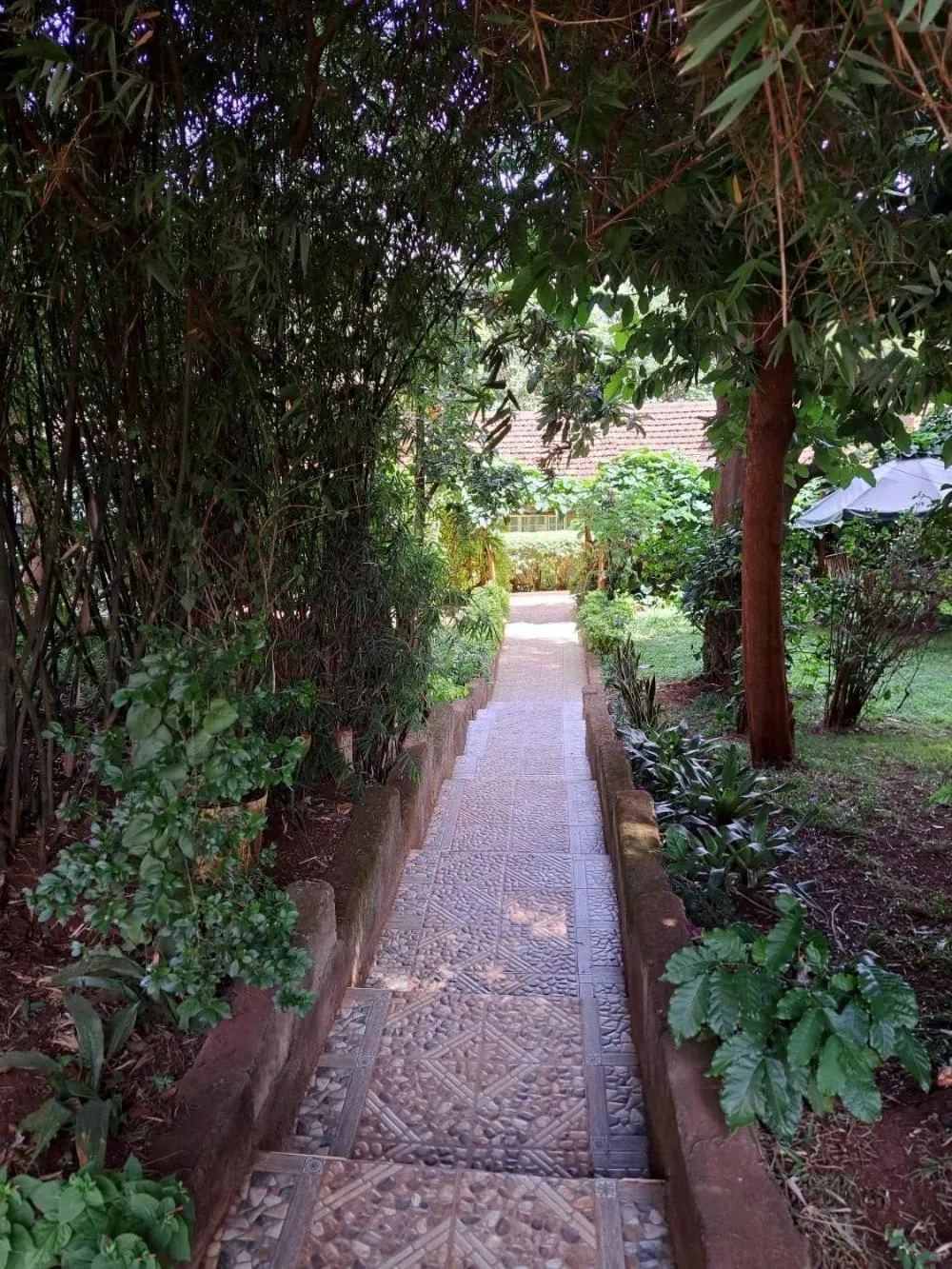 Garden in Rosslyn Studios