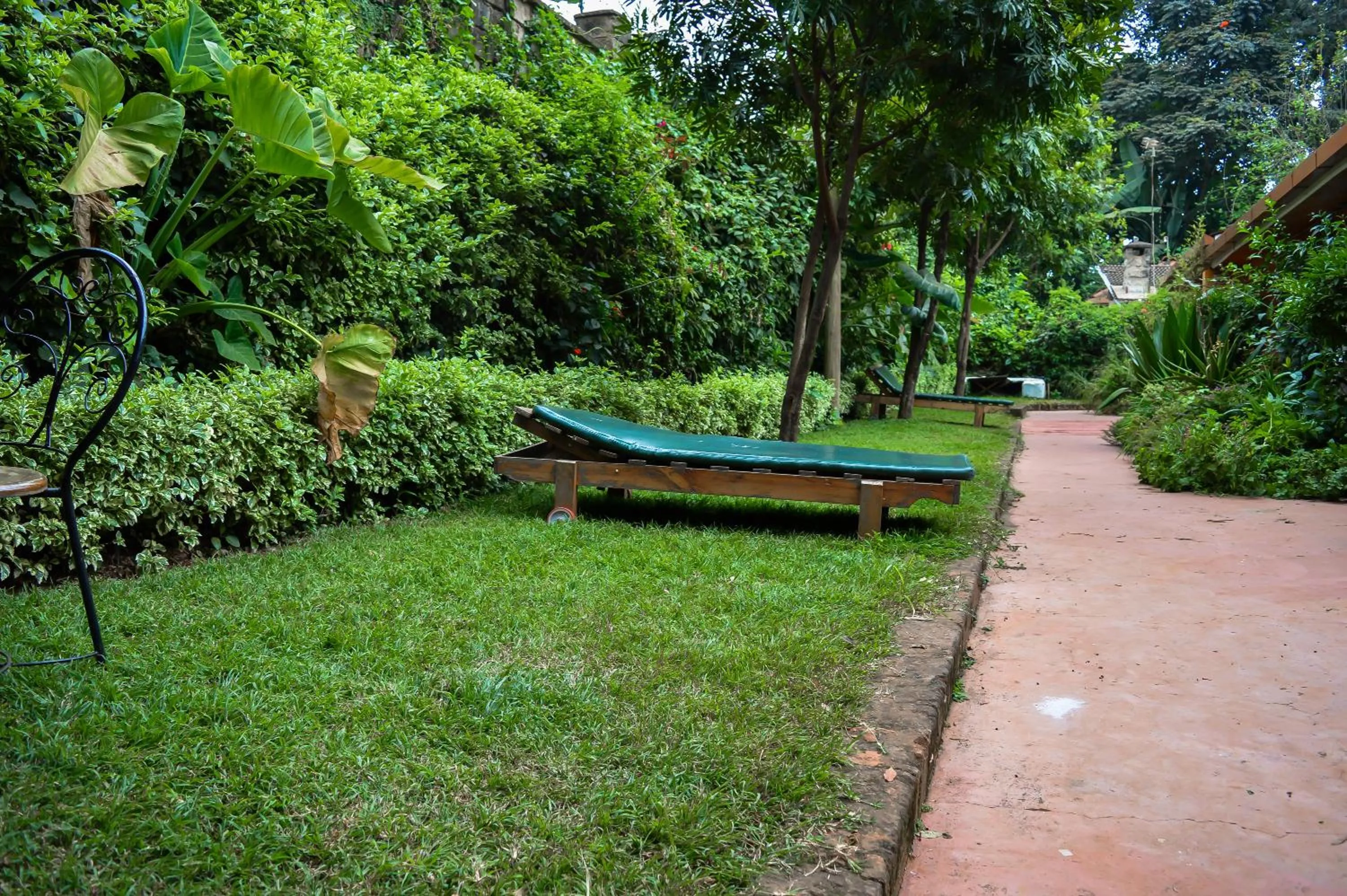 Garden in Rosslyn Studios
