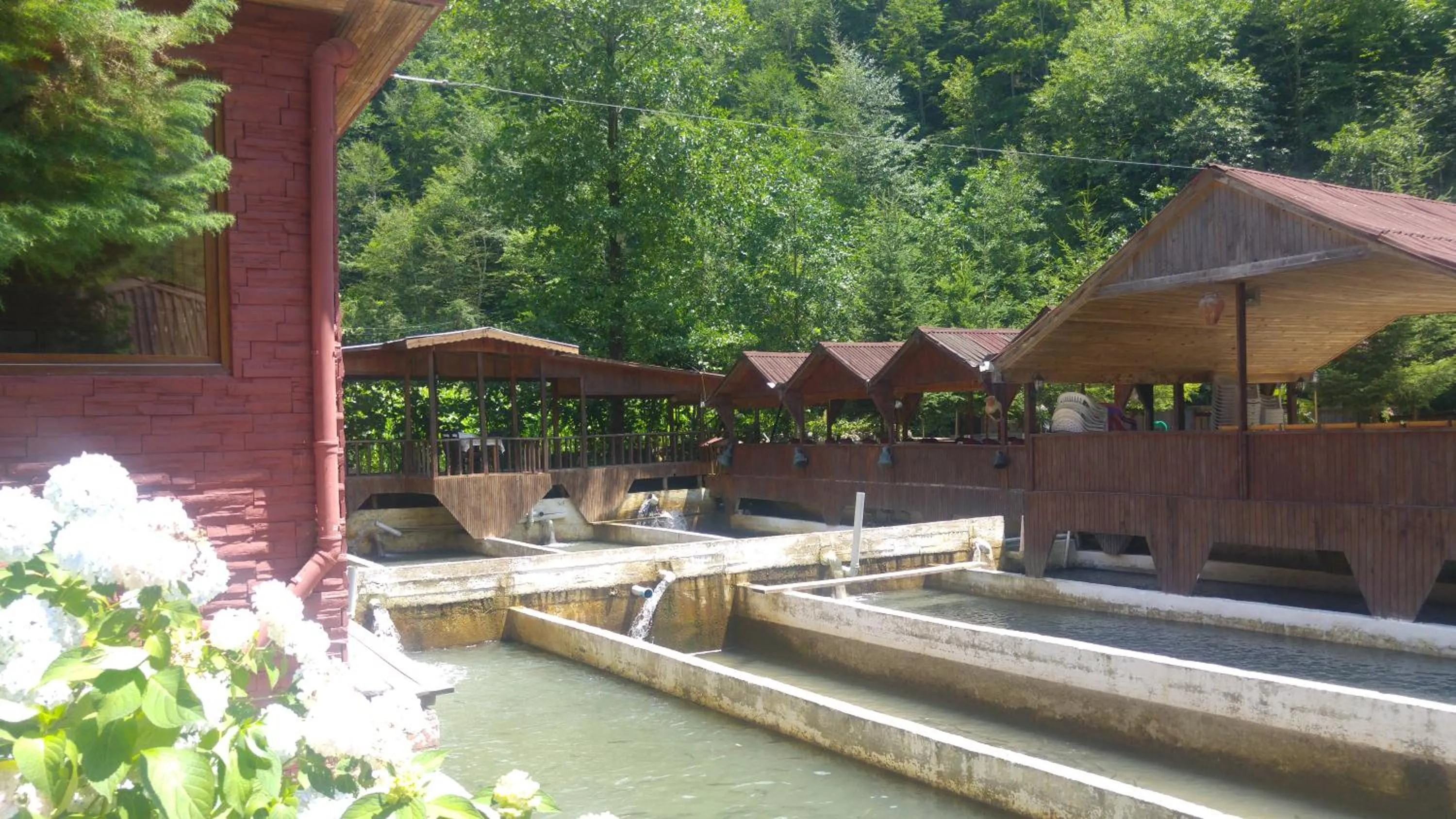 Garden view in Isikli Kale Hotel