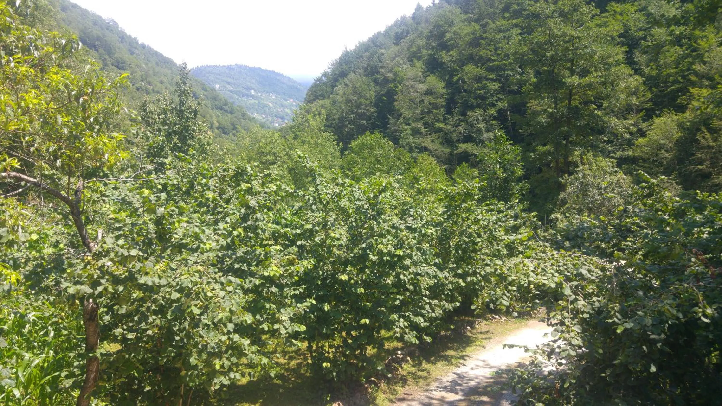 Garden in Isikli Kale Hotel