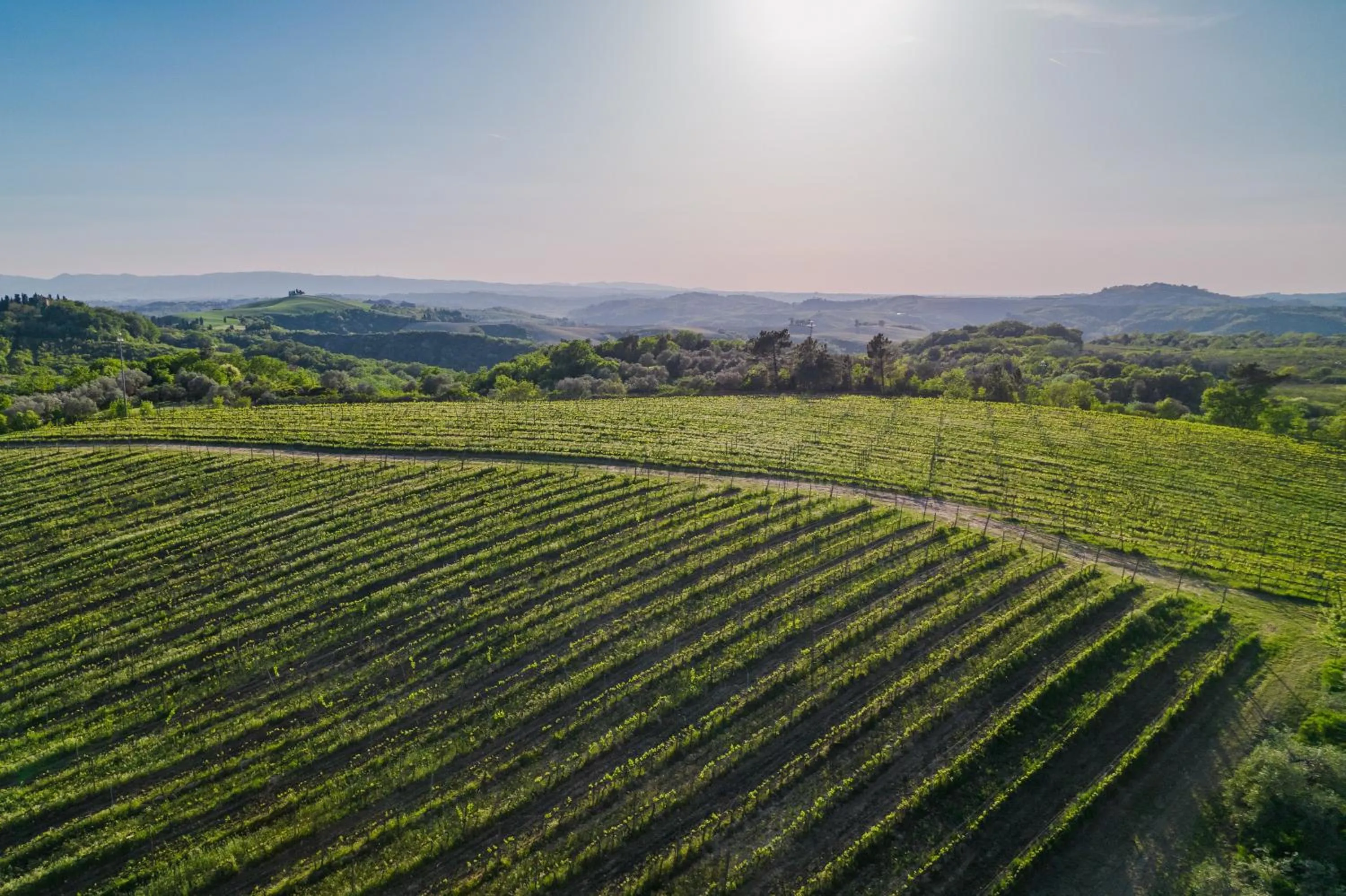 Other, Natural Landscape in Il Castelfalfi-Tui Blue Selection