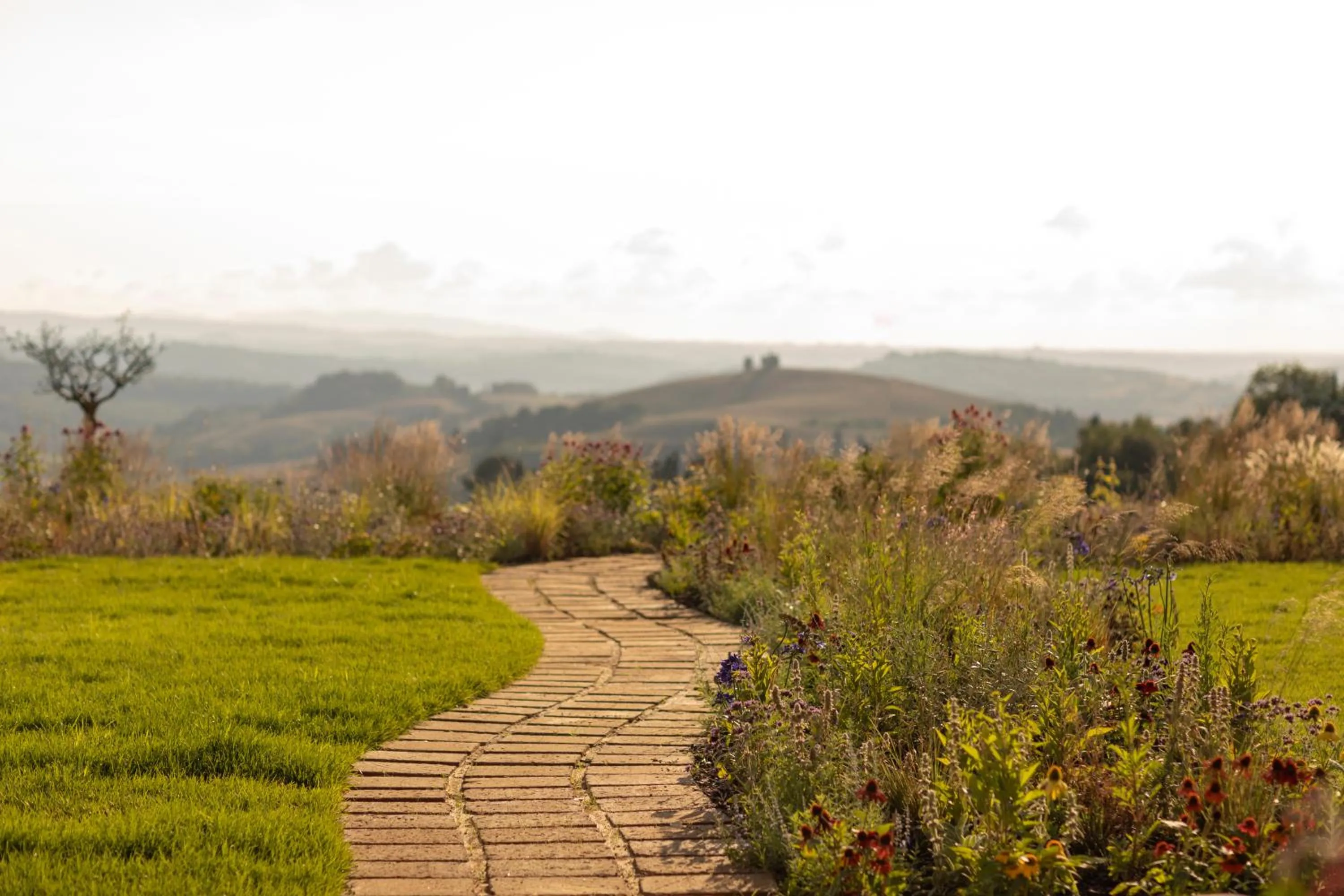 Garden in Il Castelfalfi-Tui Blue Selection