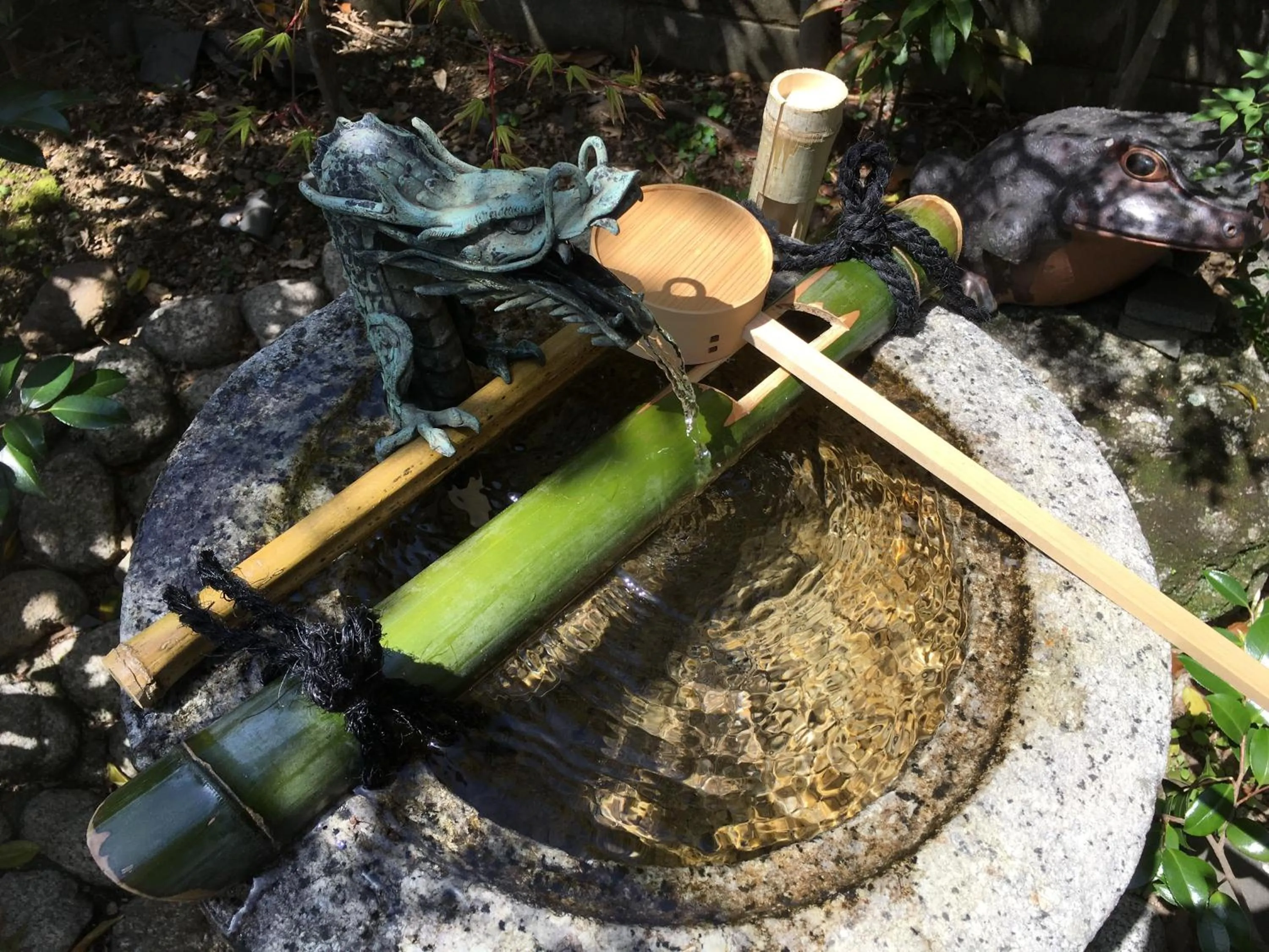 Garden in Hananobou Kinkakuji-michi