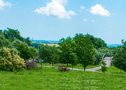 View (from property/room) in B&B Belcuore