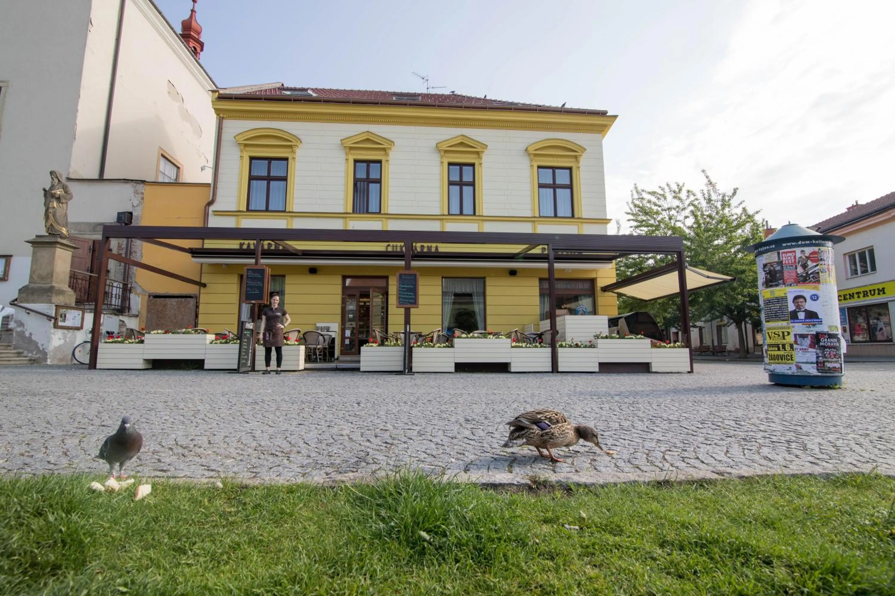 Property building in Penzion Longus