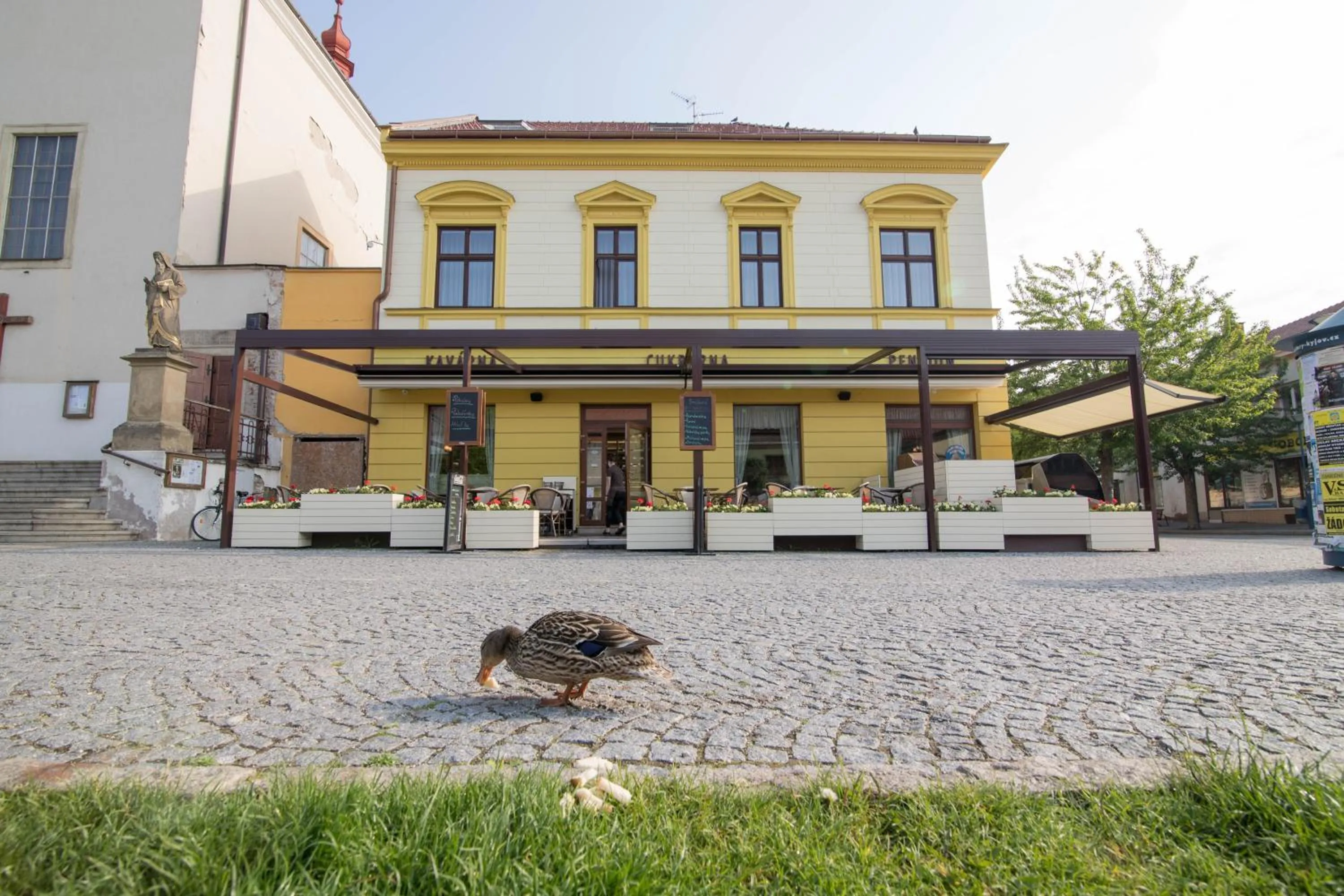 Property building in Penzion Longus