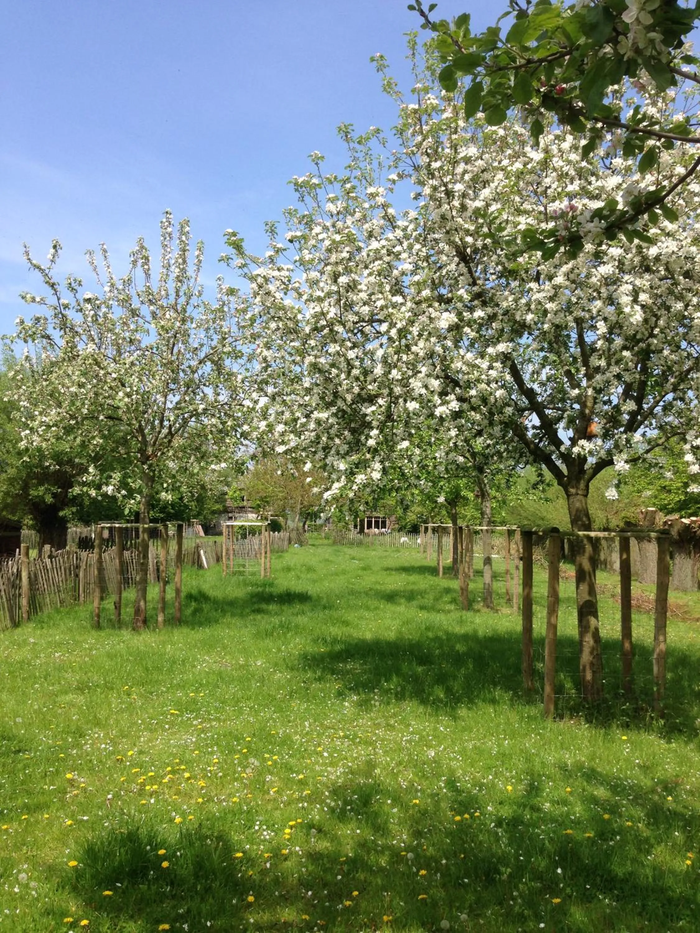 Garden in De Weide Wereld