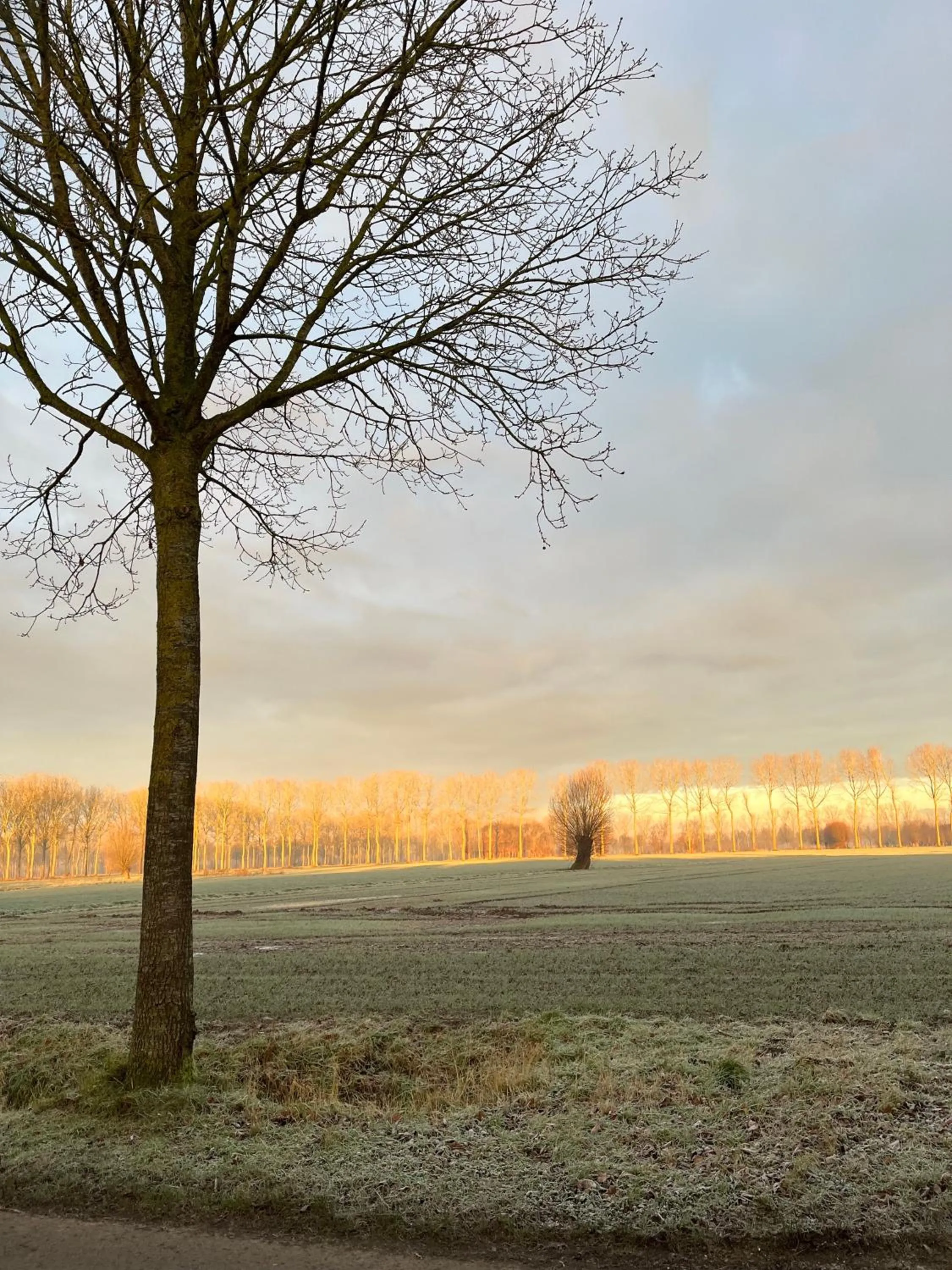 View (from property/room) in De Weide Wereld