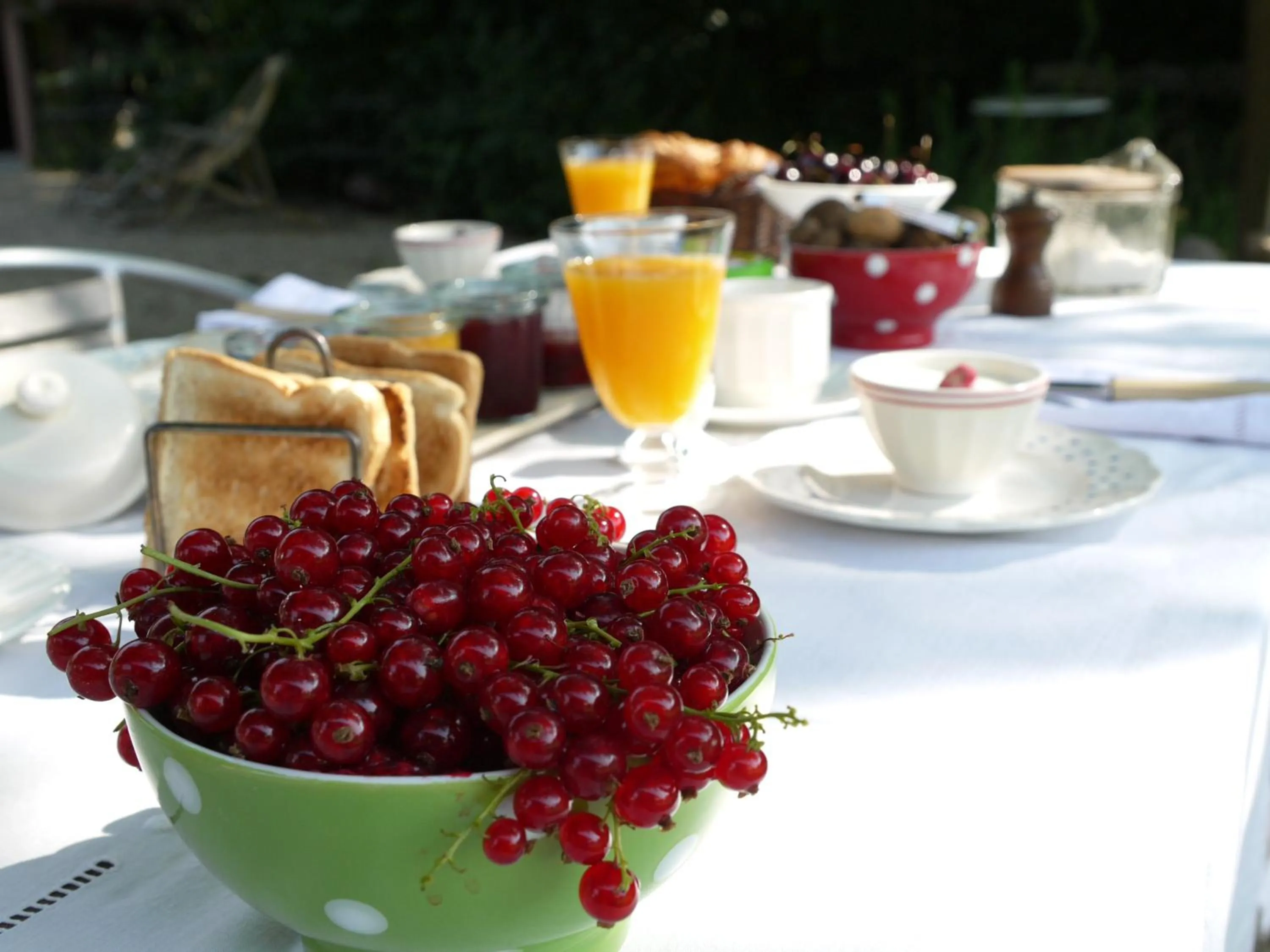 Food close-up in De Weide Wereld