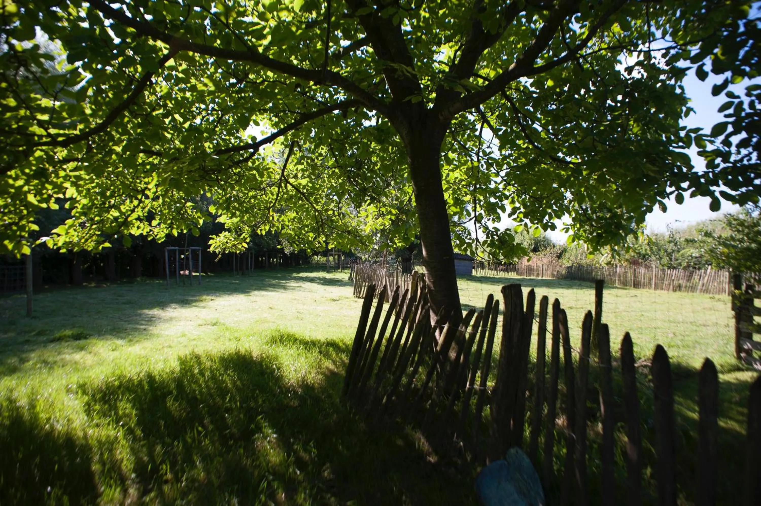 Garden in De Weide Wereld