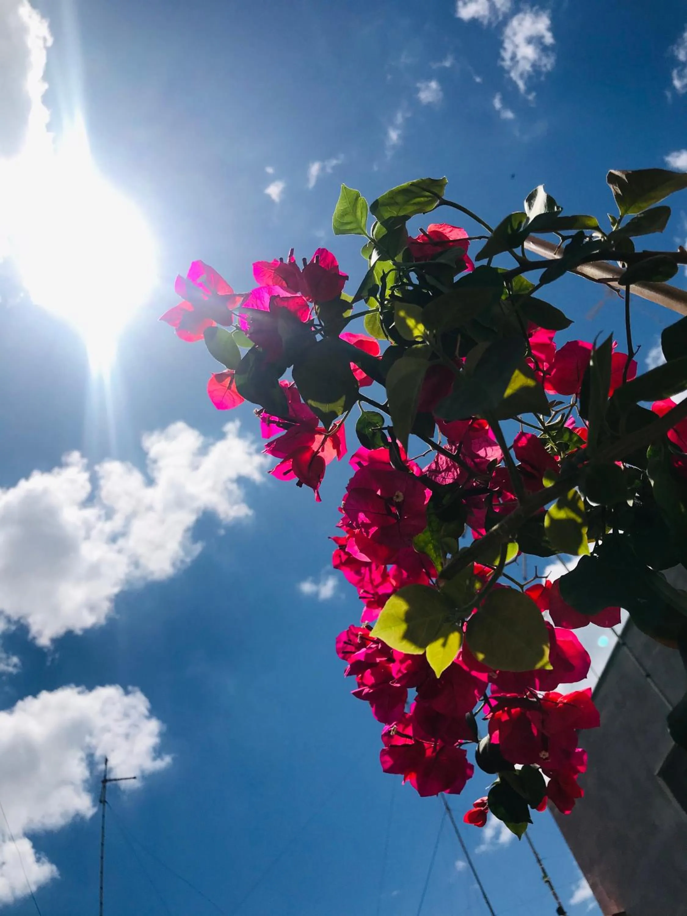 Decorative detail in Le Statuine Dimore Diffuse