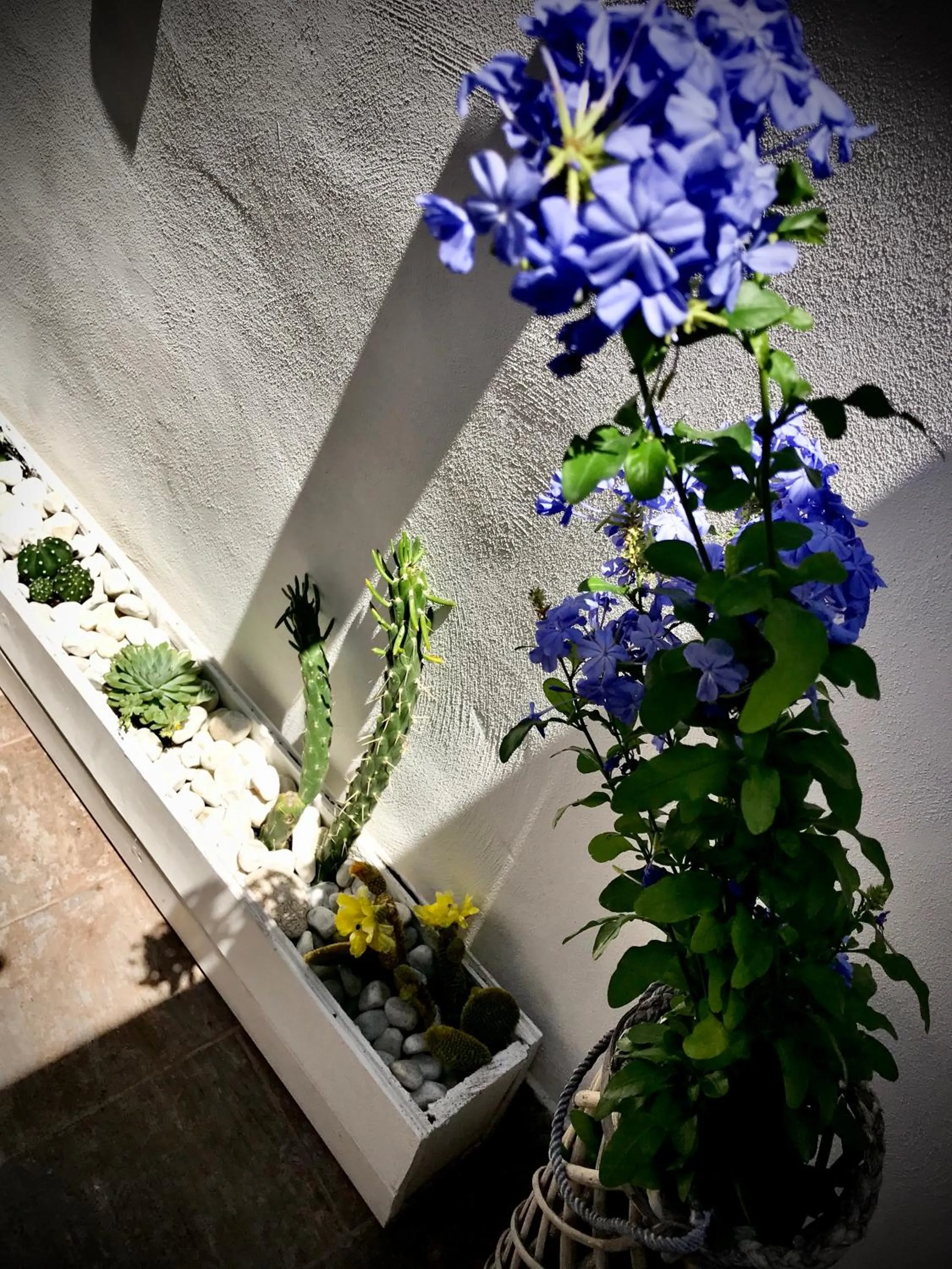 Balcony/Terrace in Le Statuine Dimore Diffuse